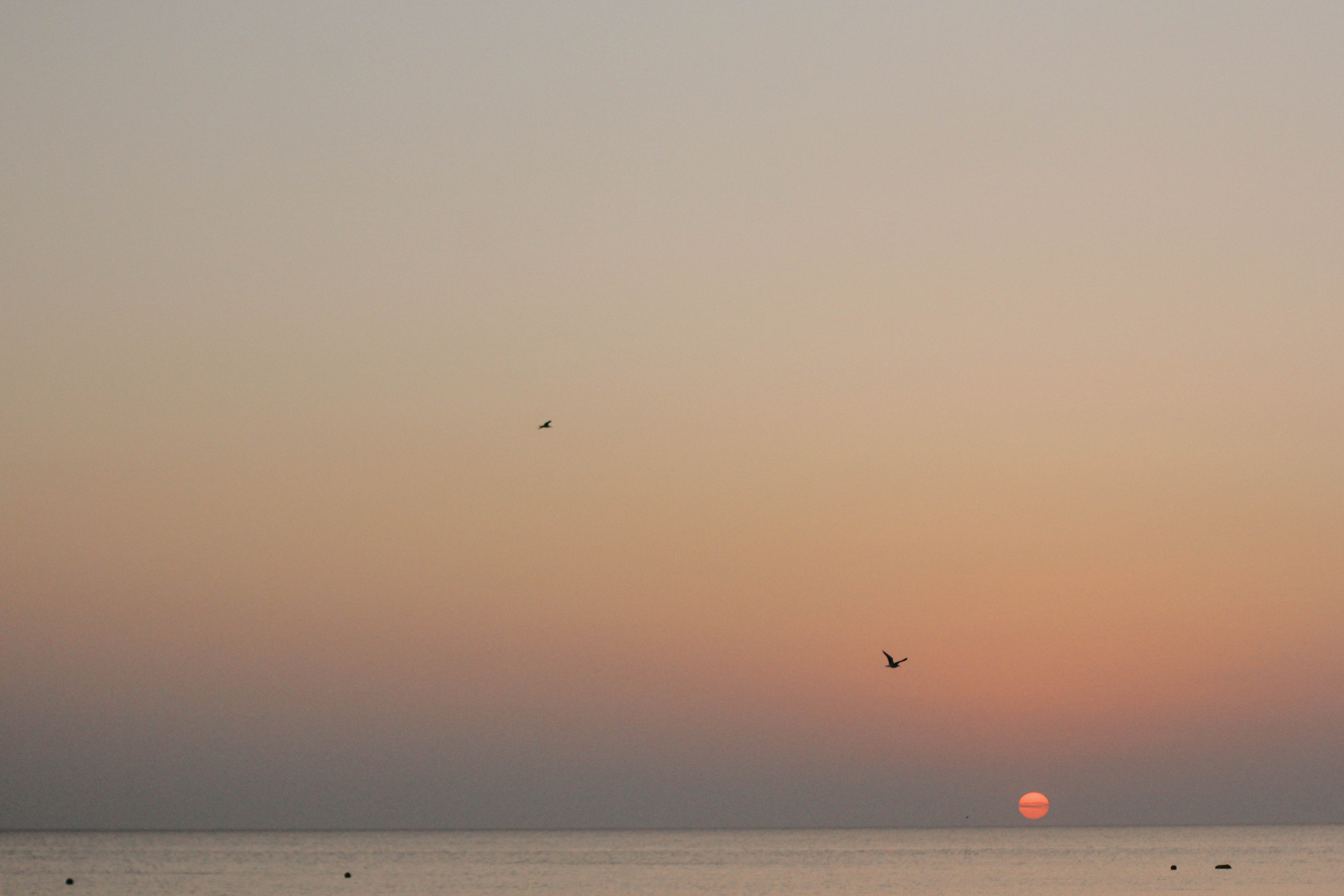 Марина, Максим, Матвей и Мирон. Семейный фотограф Анапа