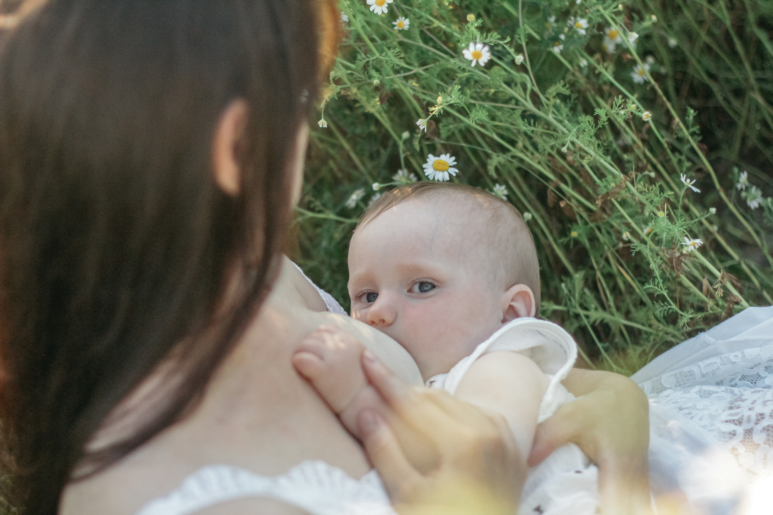 Анжелика и Дима. Семейный фотограф Анапа