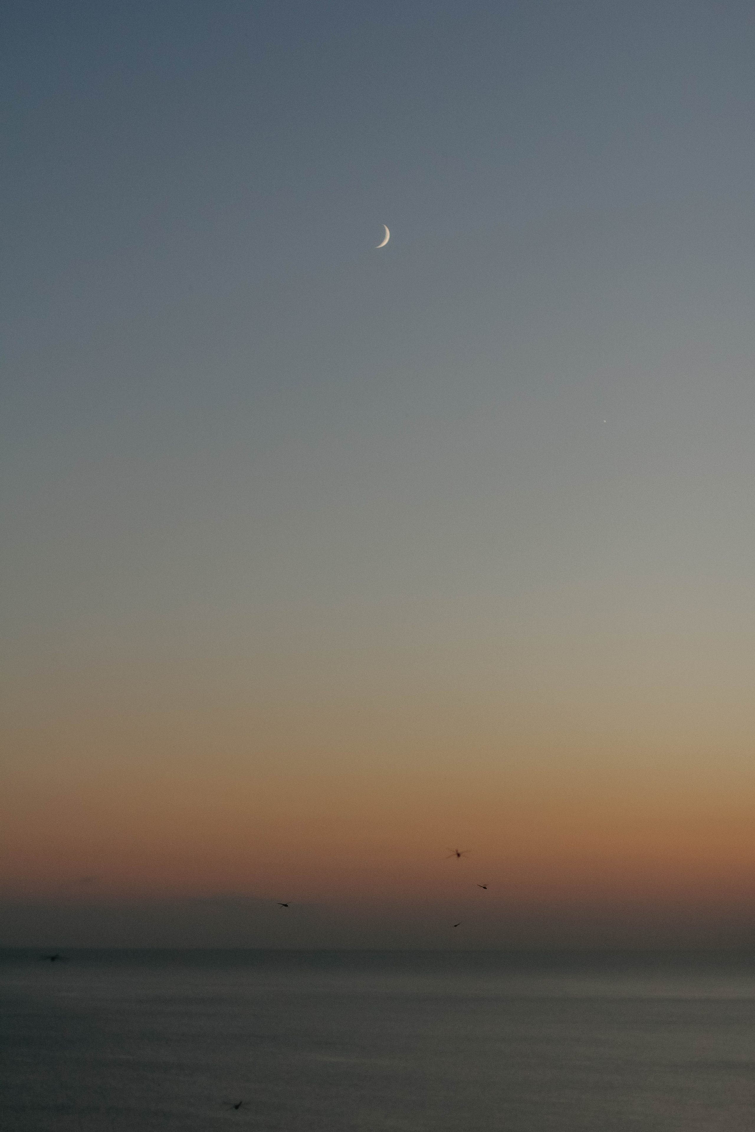 Ирина, Кирилл и Даня. Семейный фотограф Анапа