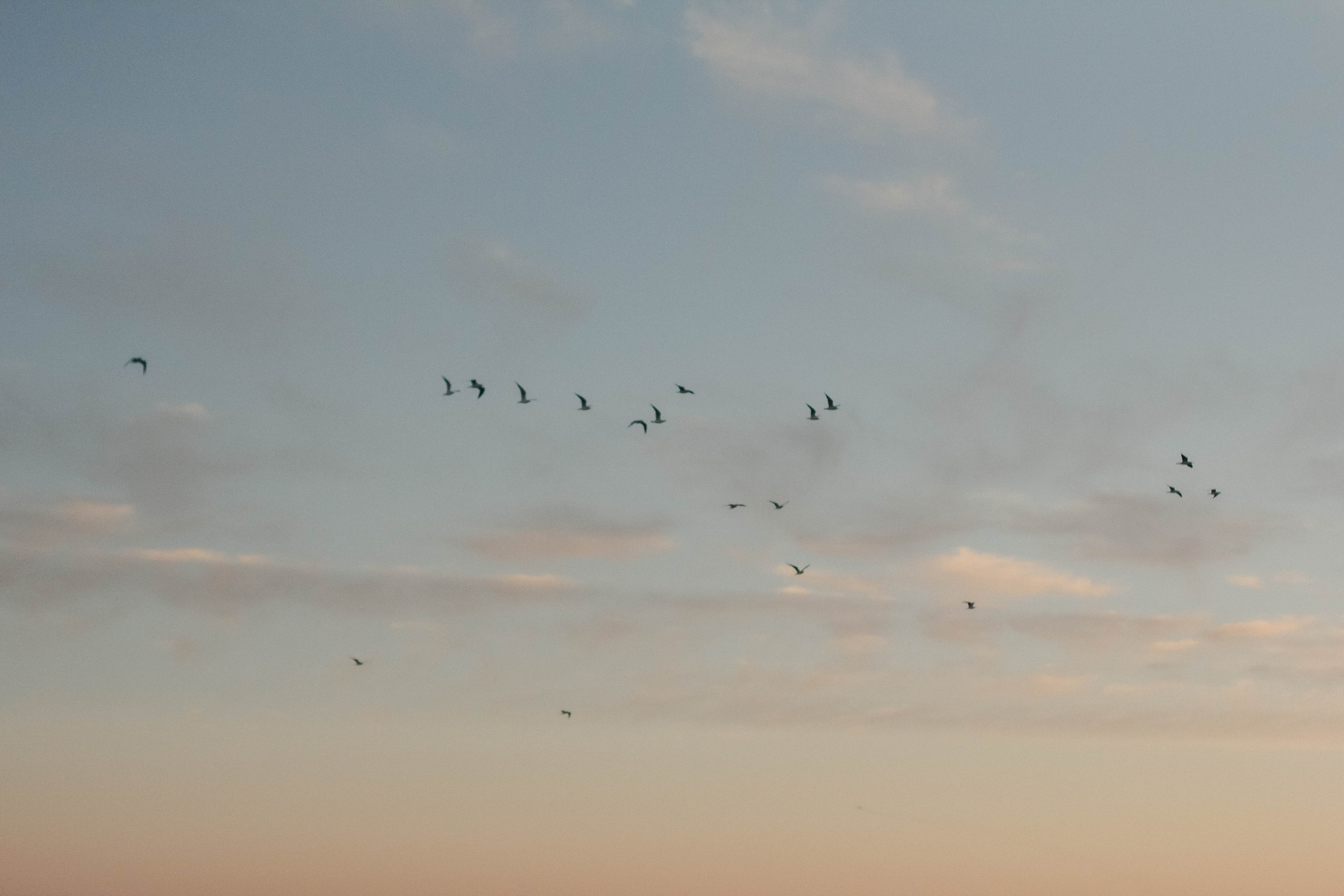Настя, Вася и Саша. Семейный фотограф Анапа