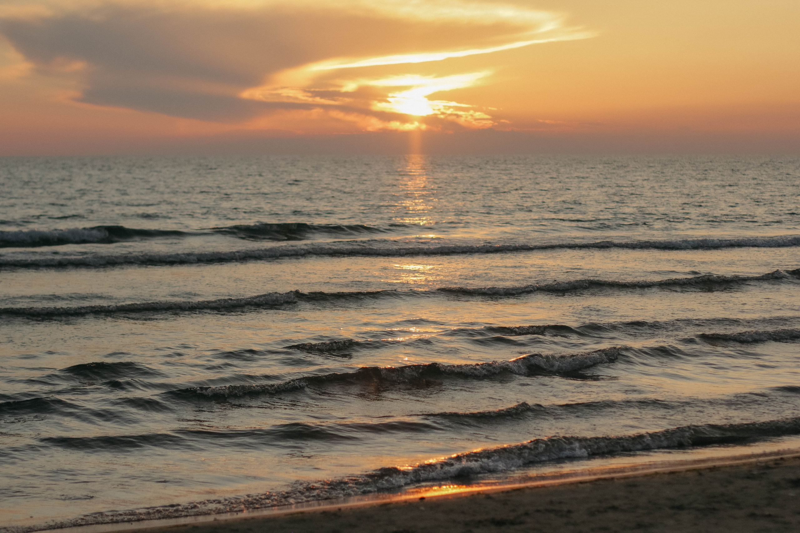 Вера, Алексей, Лев и Даша. Семейный фотограф Анапа