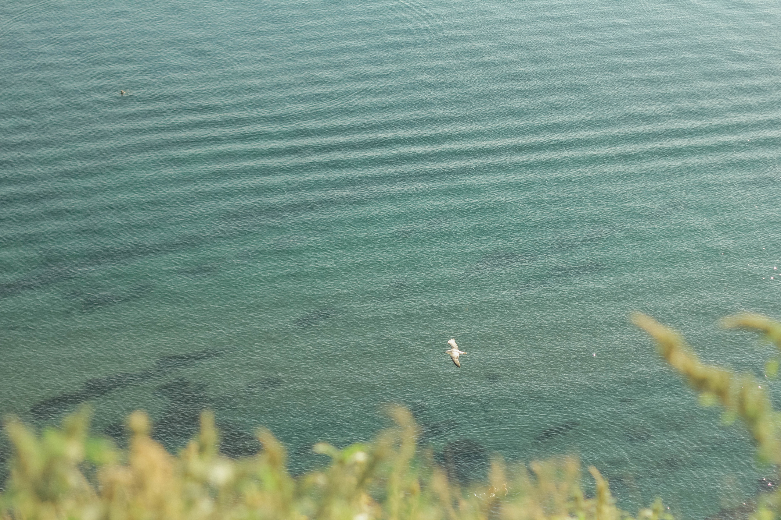 Ирина, Кирилл и Даня. Семейный фотограф Анапа