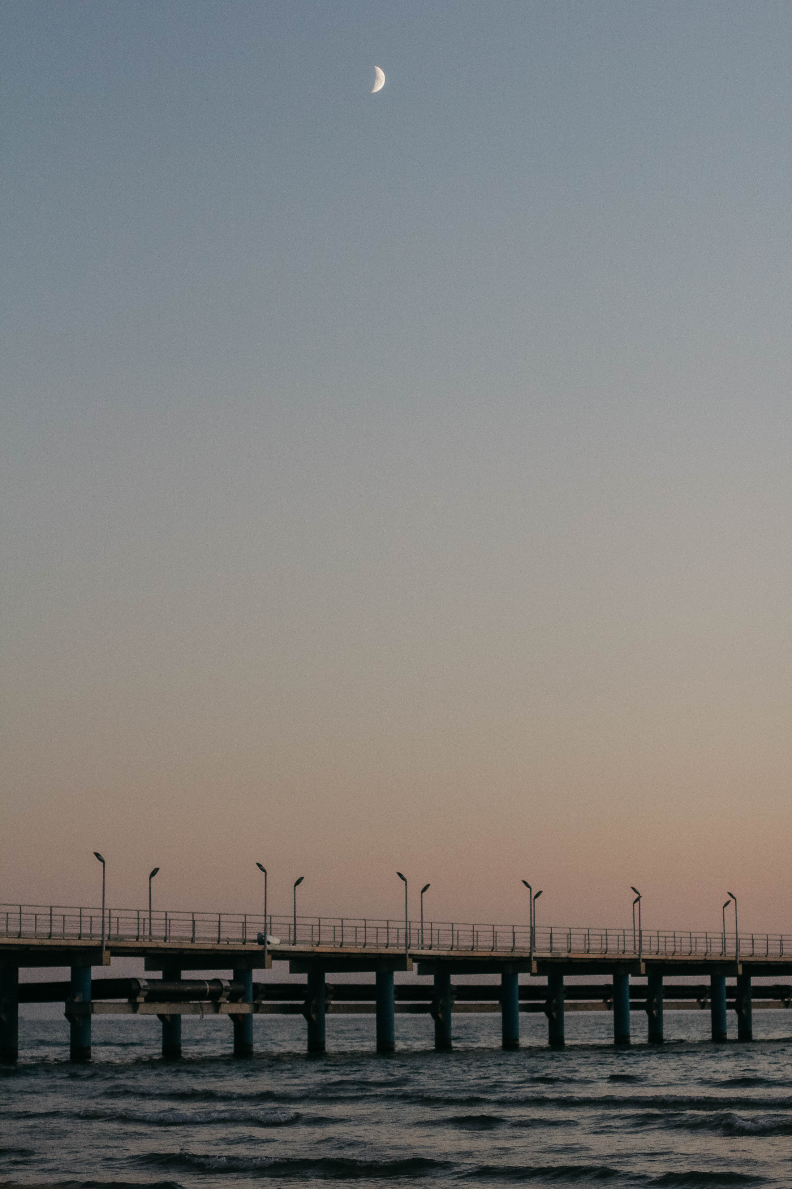 Вера, Алексей, Лев и Даша. Семейный фотограф Анапа