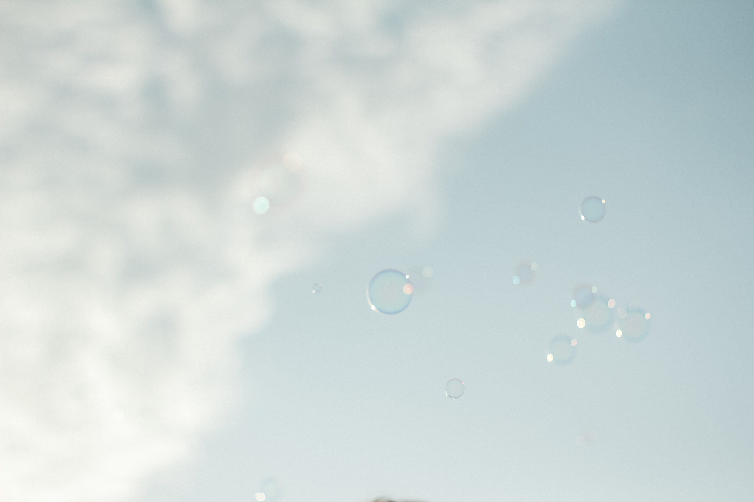 Анжелика и Дима. Семейный фотограф Анапа