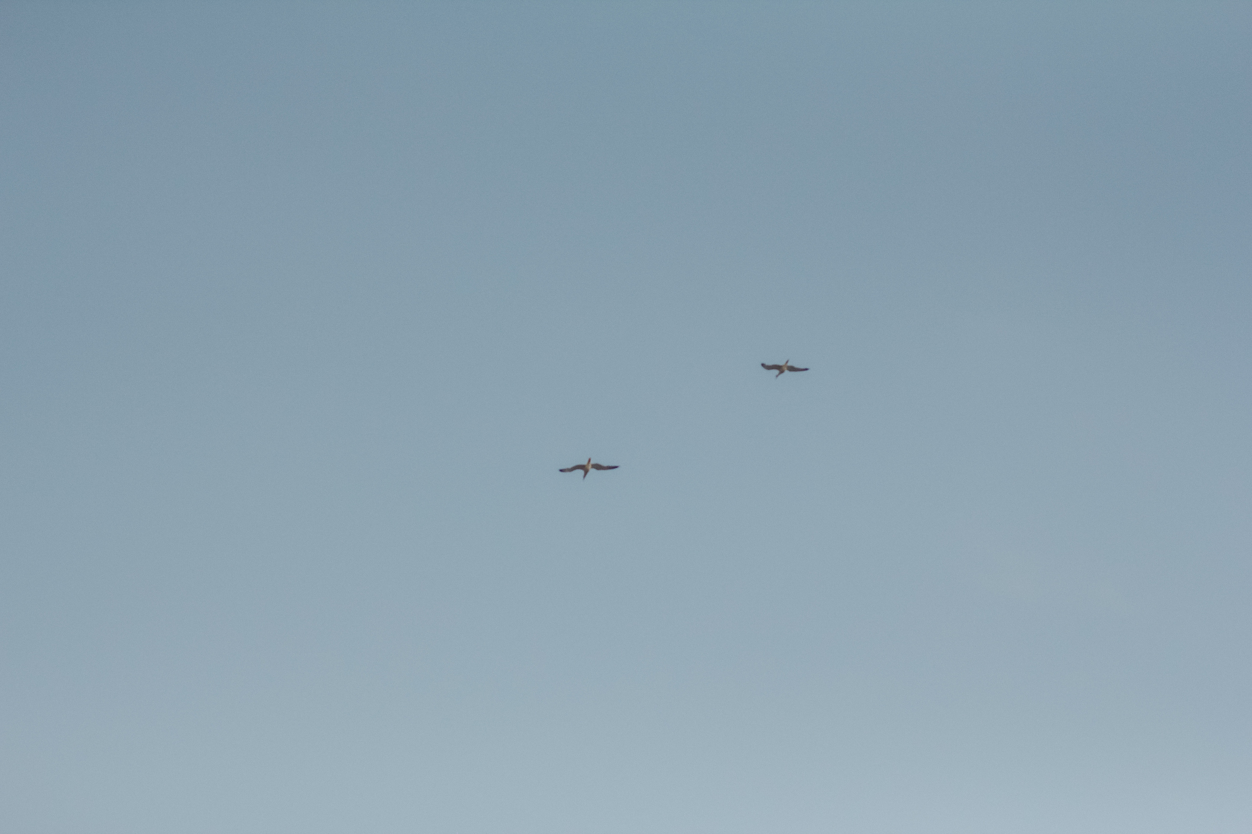 Юля и Слава. Семейный фотограф Анапа