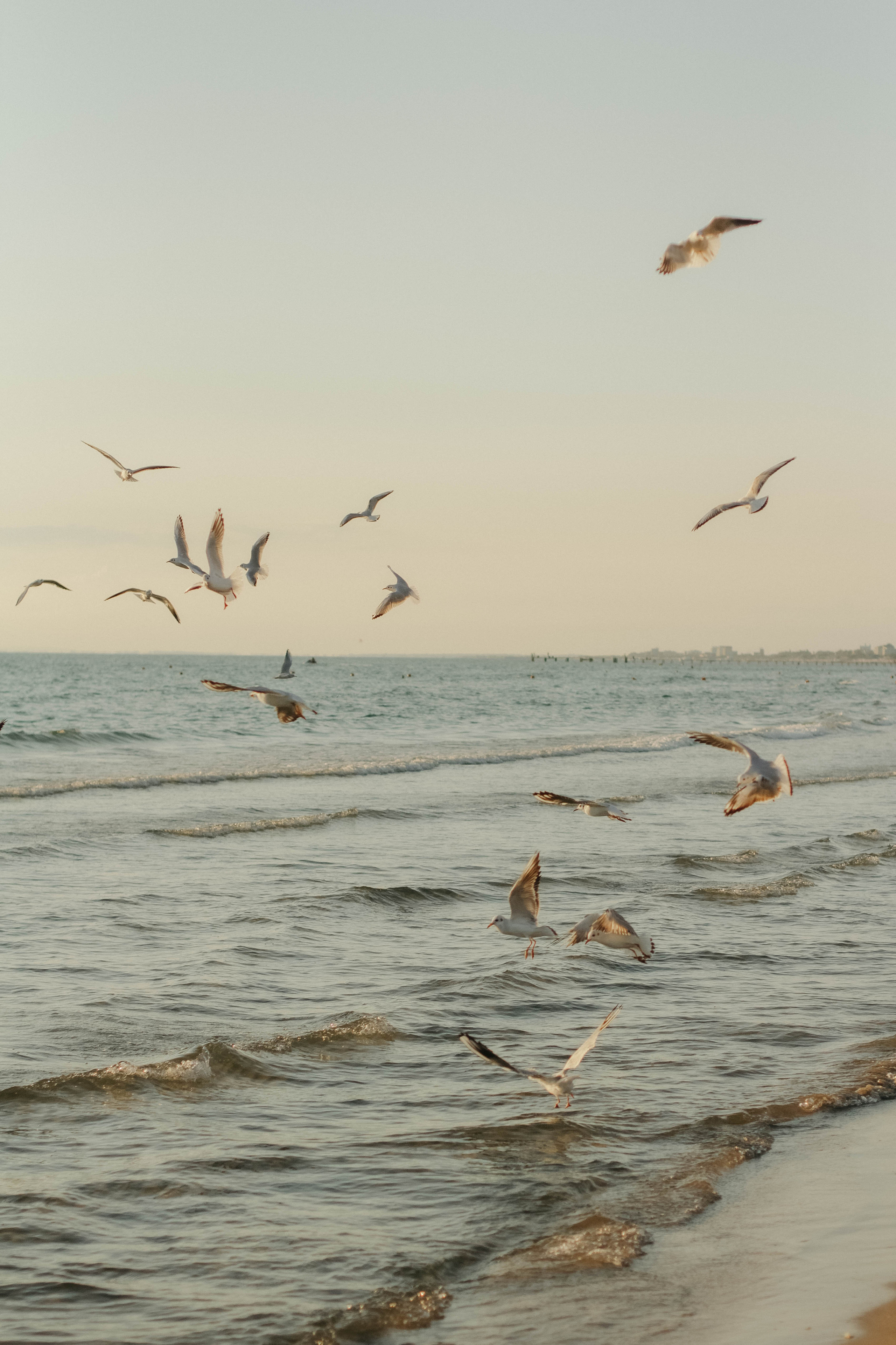 Вера, Алексей, Лев и Даша. Семейный фотограф Анапа