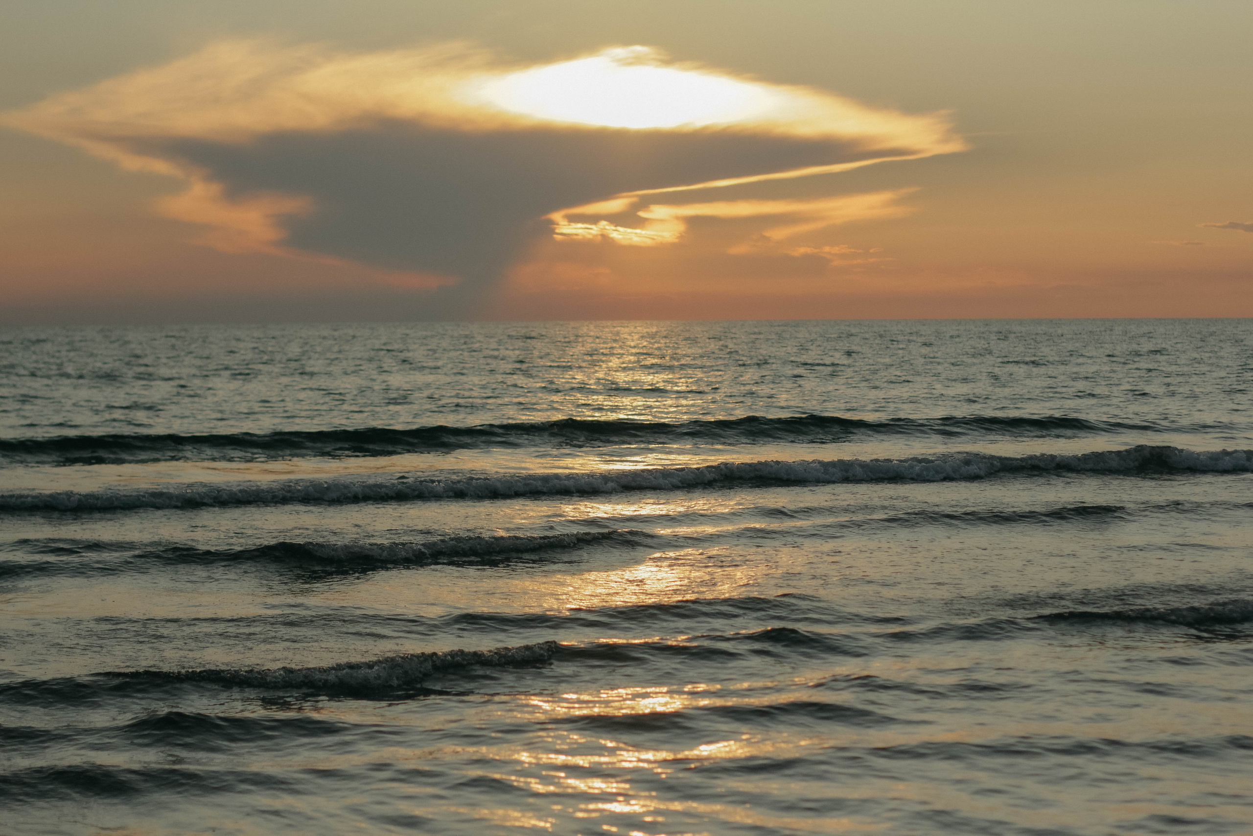 Вера, Алексей, Лев и Даша. Семейный фотограф Анапа