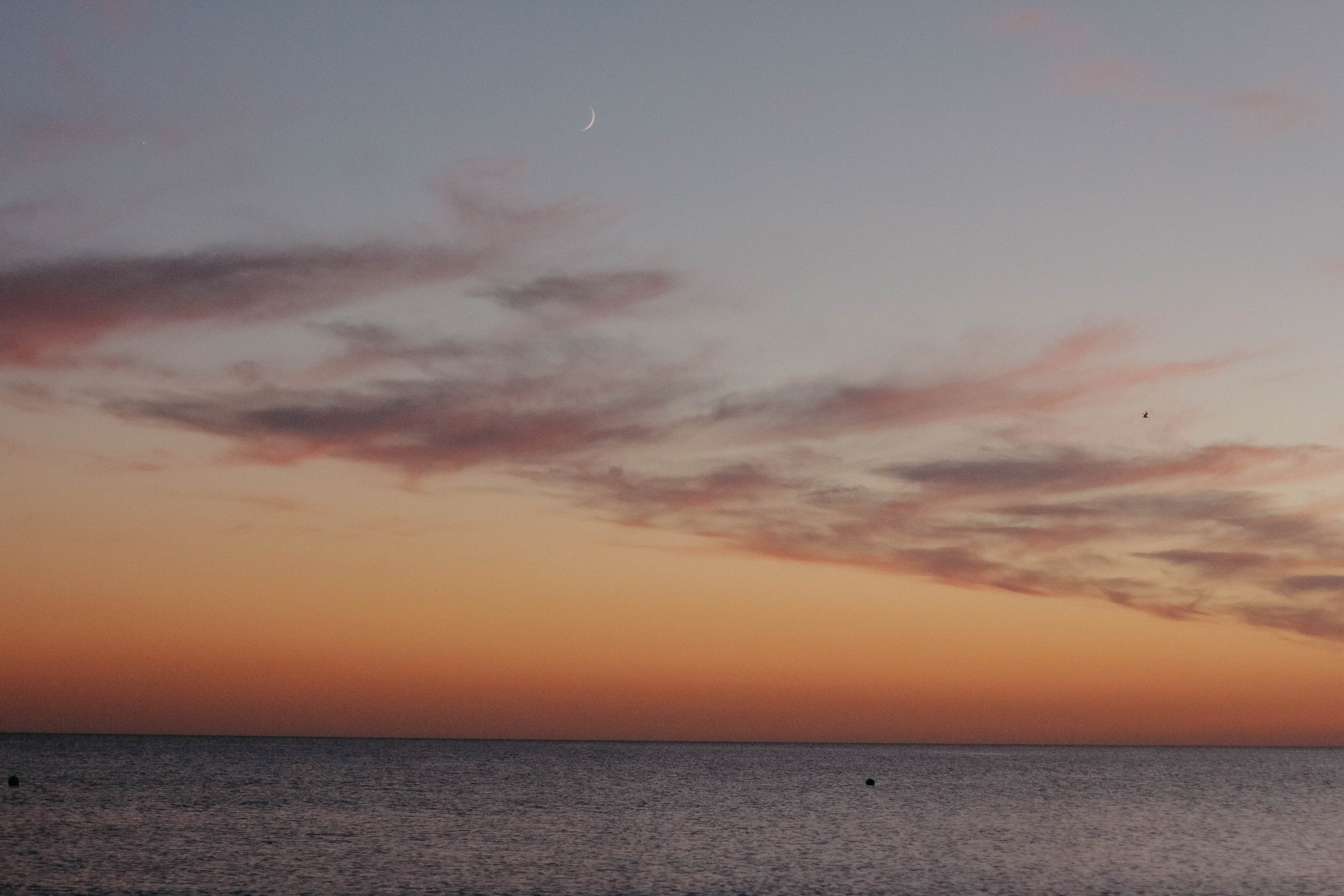 Настя, Вася и Саша. Семейный фотограф Анапа