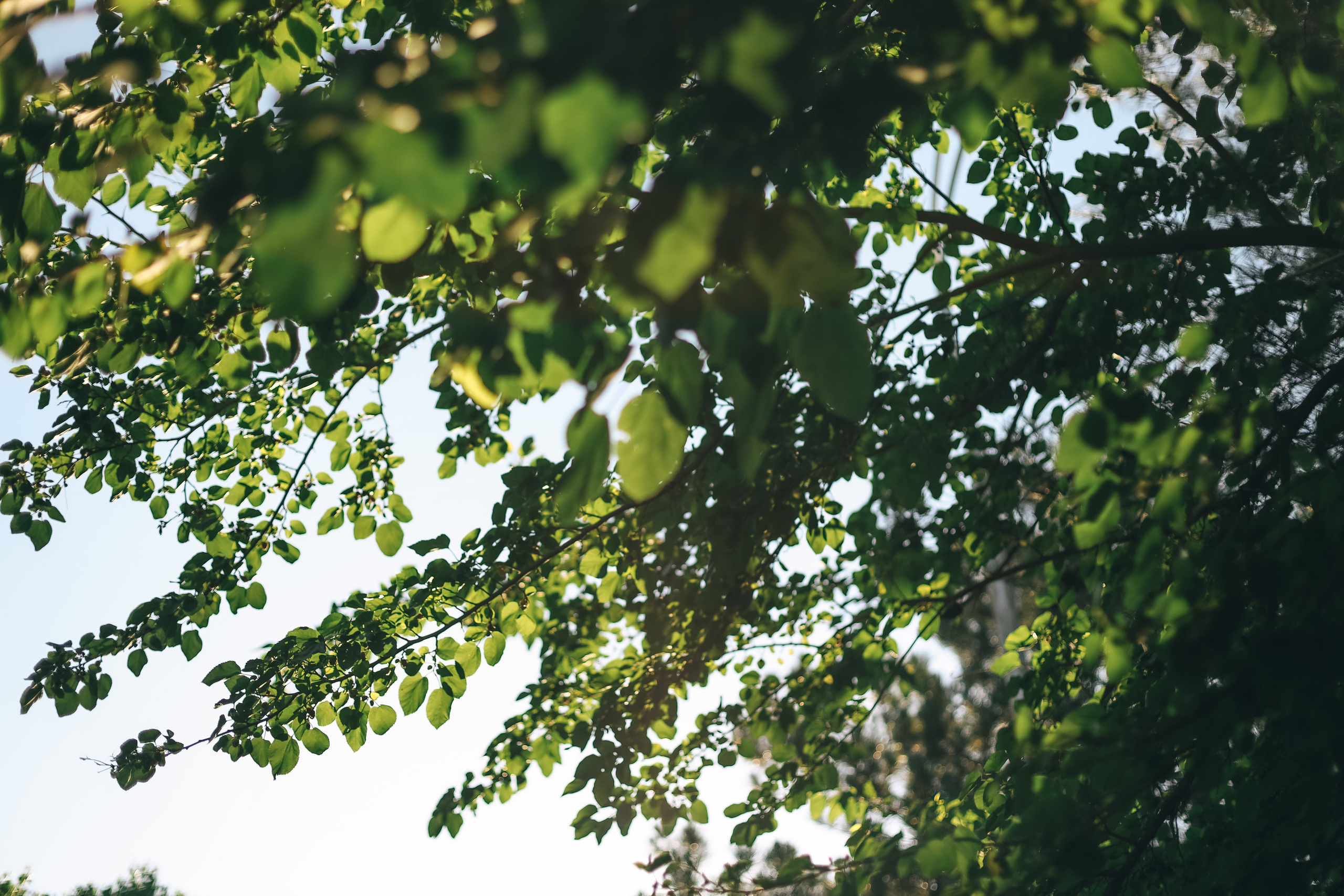 Елена и Габриэль. Семейный фотограф Анапа