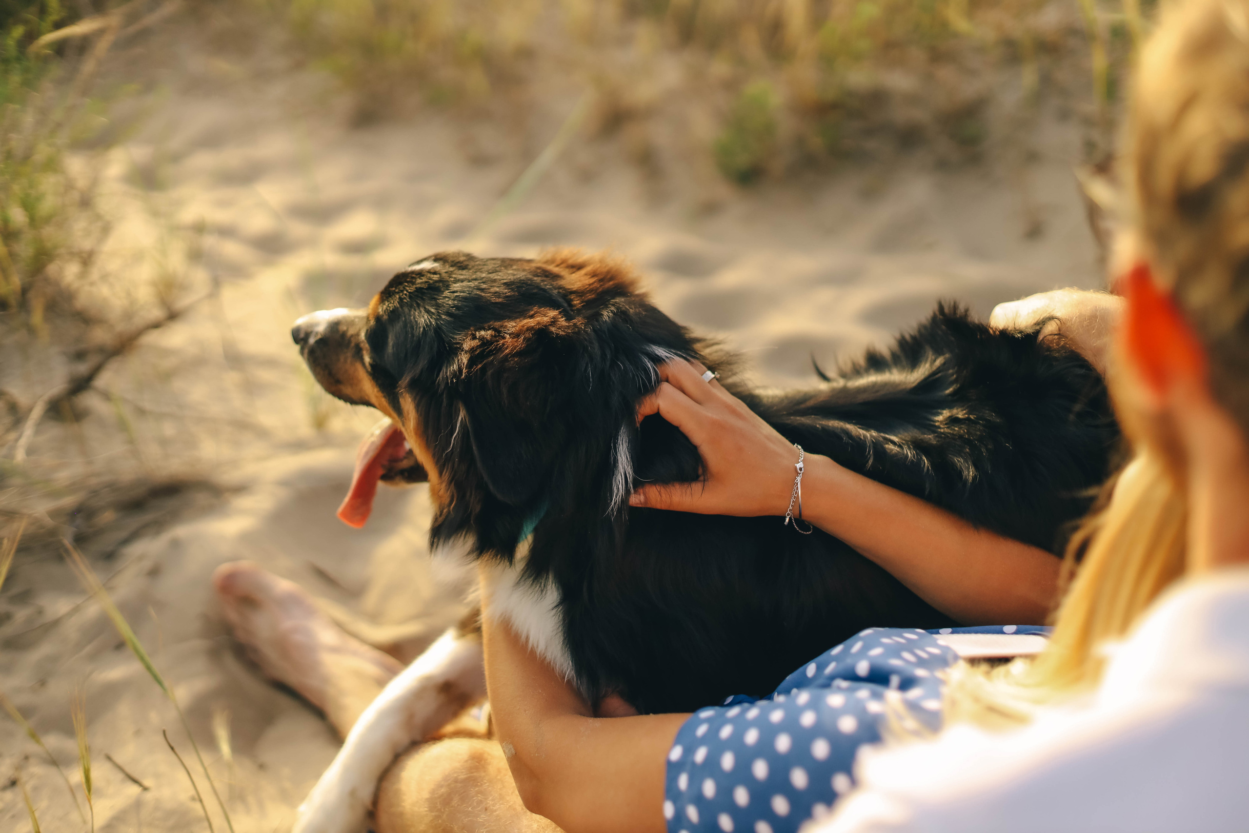 Юля, Женя и Гром. Семейный фотограф Анапа