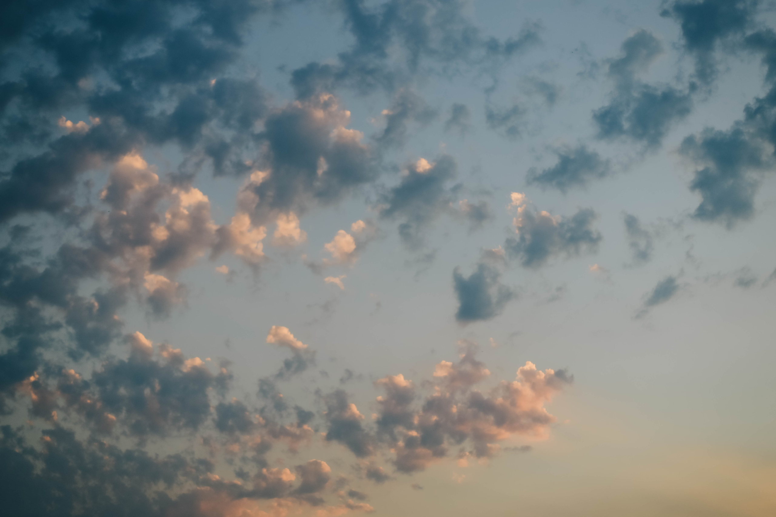 Юля и Слава в Мейзон. Семейный фотограф Анапа