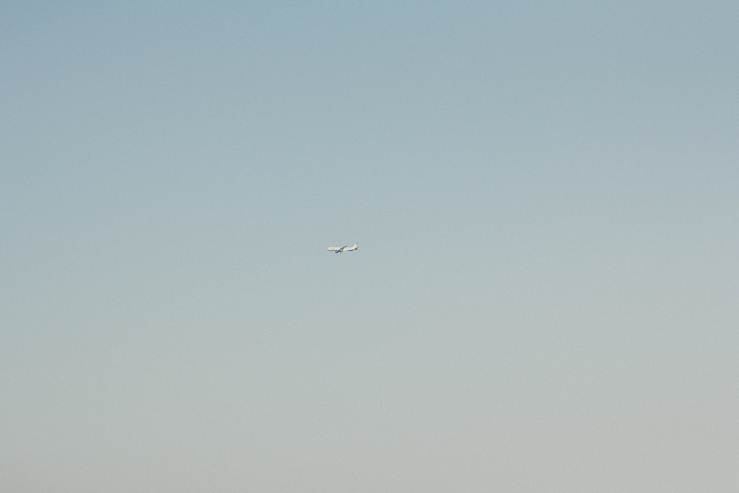 Марина, Максим, Матвей и Мирон. Семейный фотограф Анапа