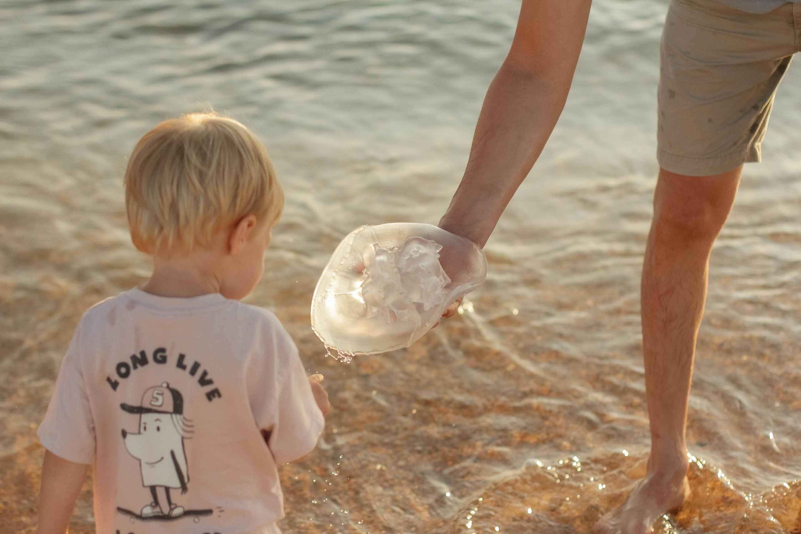 Алина, Дима и Рома. Семейный фотограф Анапа
