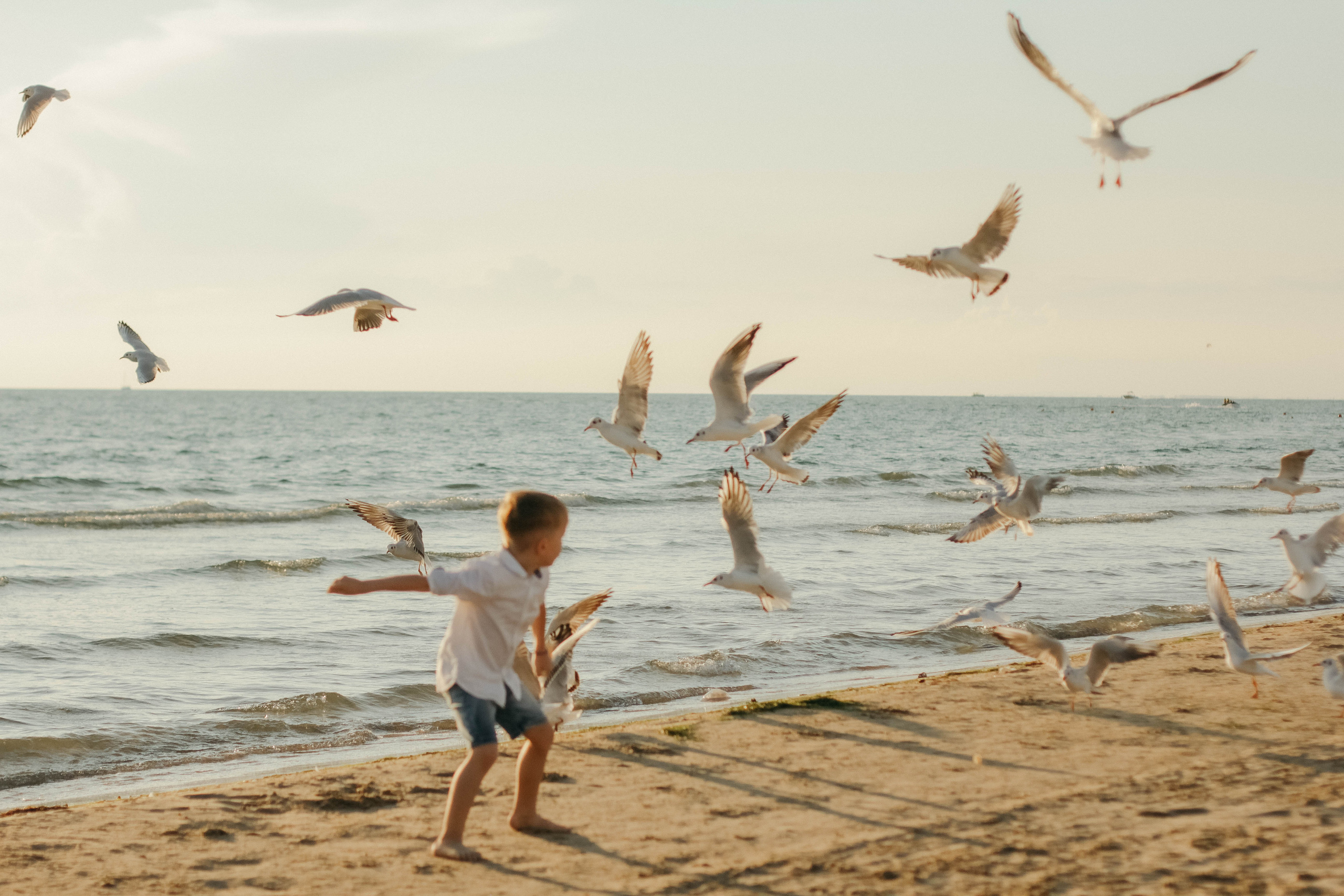Вера, Алексей, Лев и Даша. Семейный фотограф Анапа