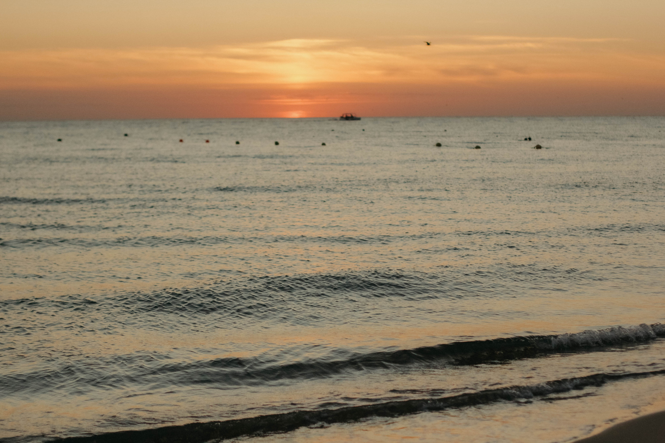 Алина, Дима и Рома. Семейный фотограф Анапа