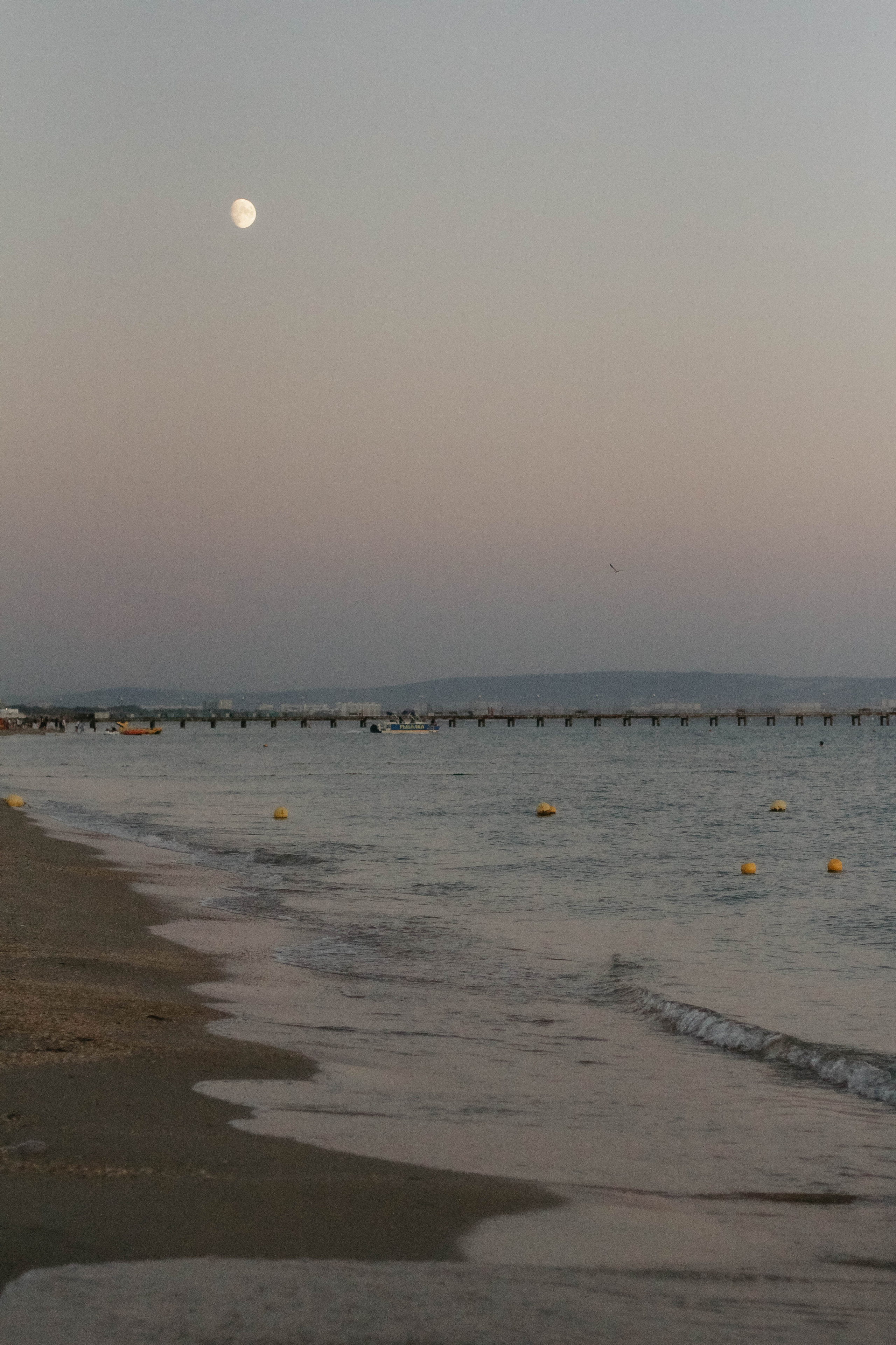 Алина, Дима и Рома. Семейный фотограф Анапа