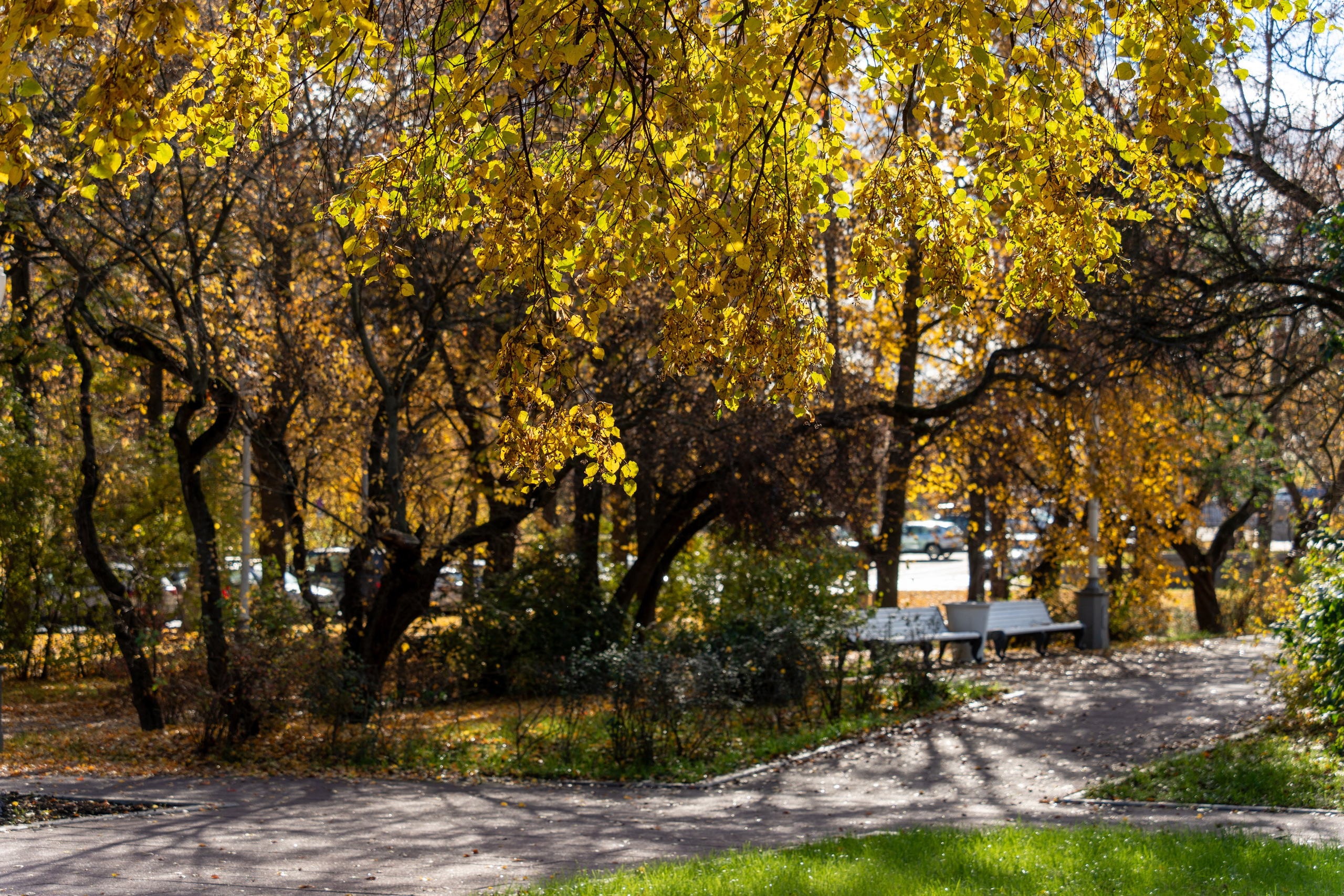 20251012 МГУ. Дмитрий Ремизов. Фотография, как хобби