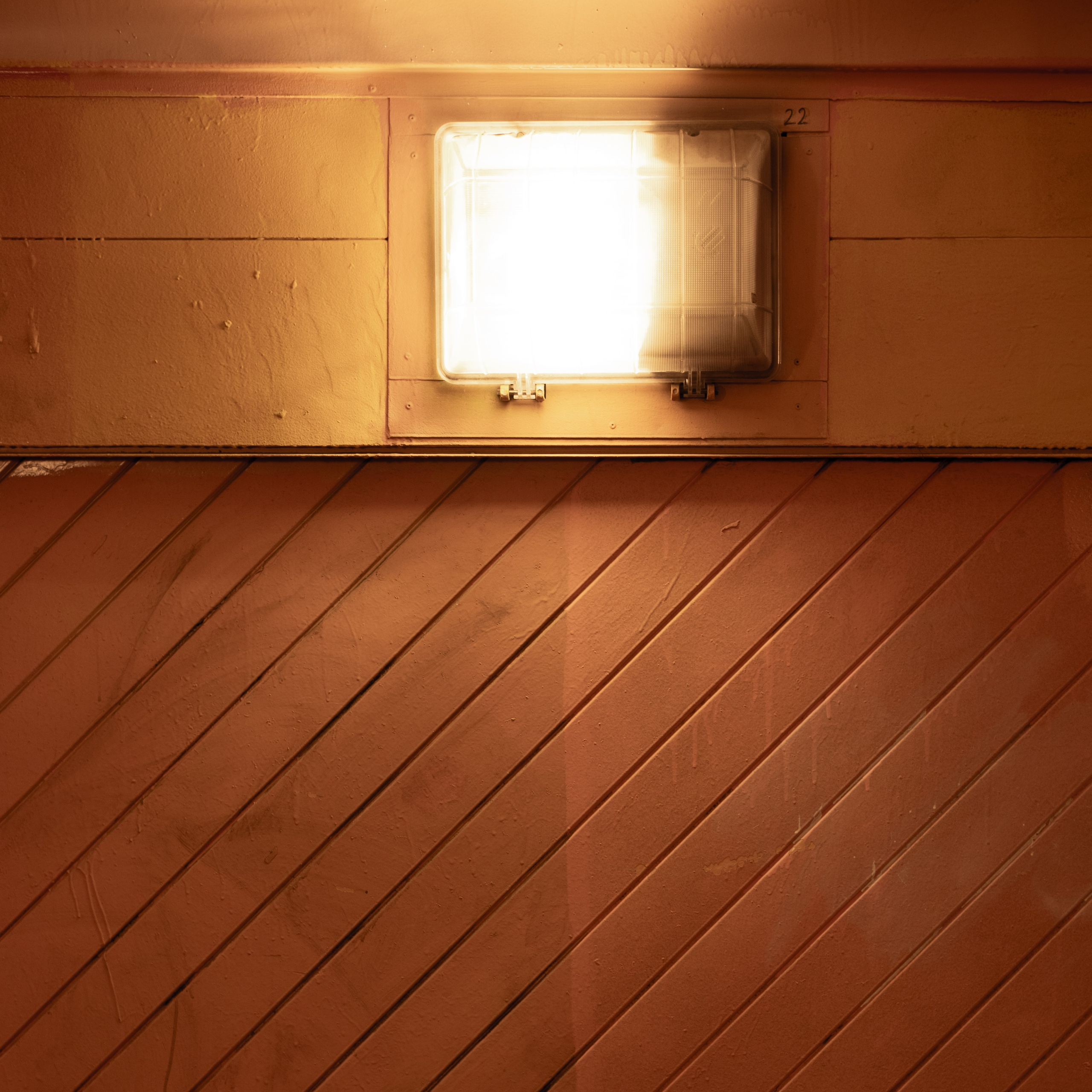 20250216 Нескучный сад. Дмитрий Ремизов. Фотография, как хобби