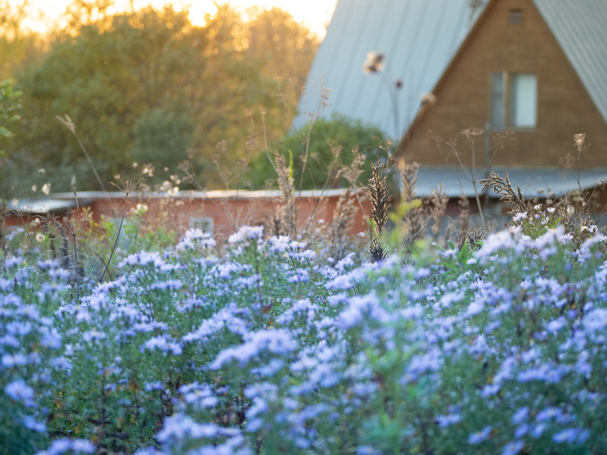 20230923-25 Родники. Дмитрий Ремизов. Фотография, как хобби