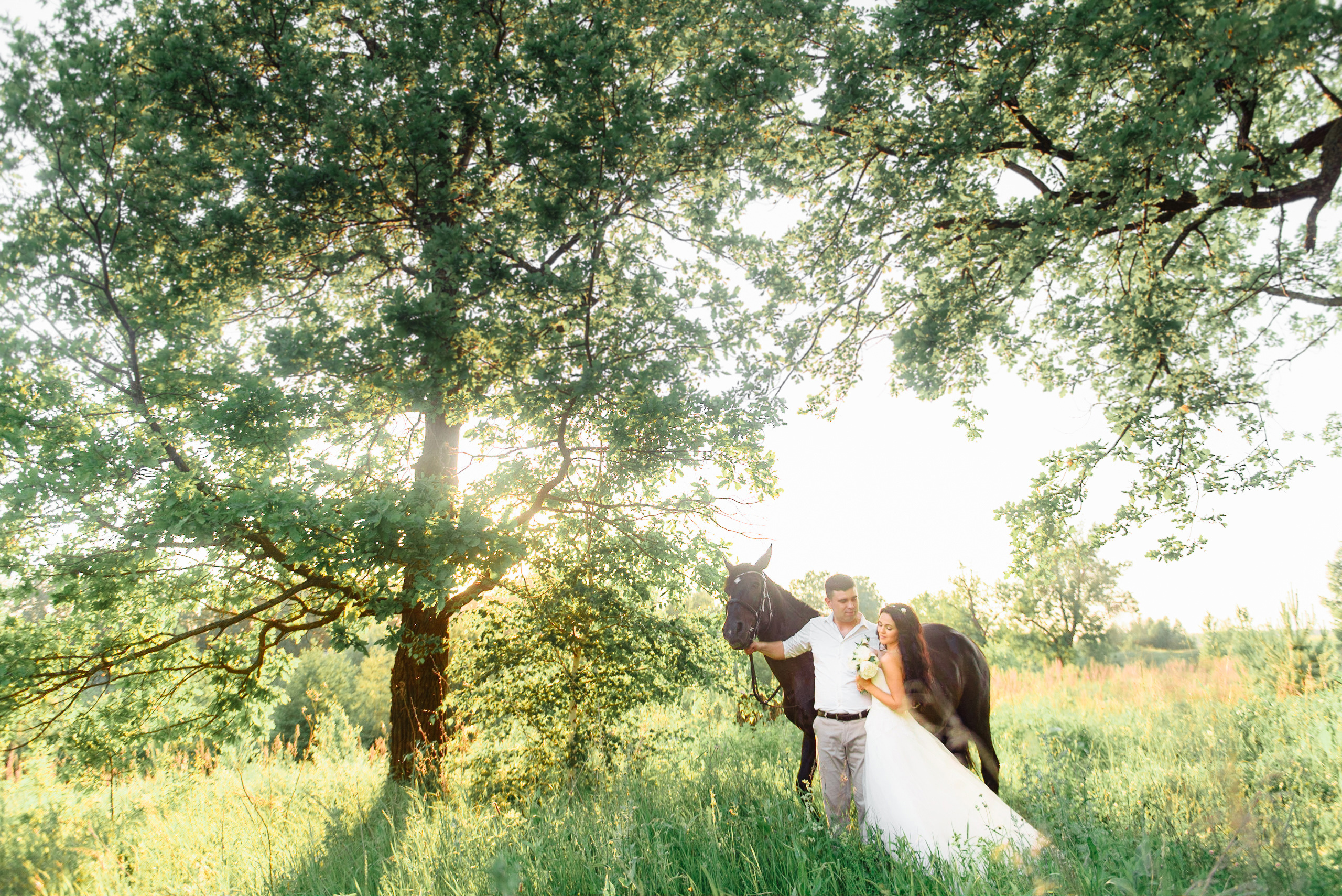 прогулка на лошадях