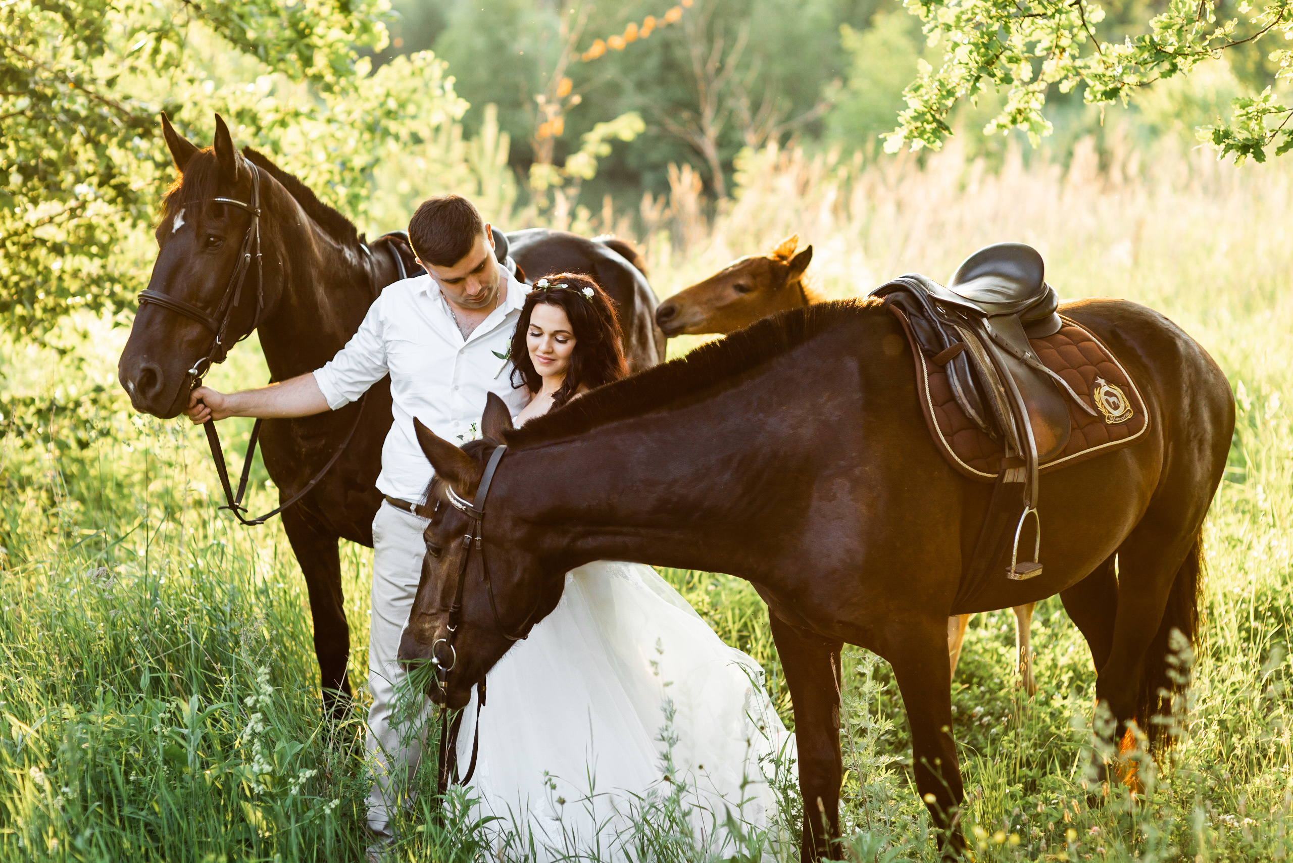 фотосессия с лошадьми