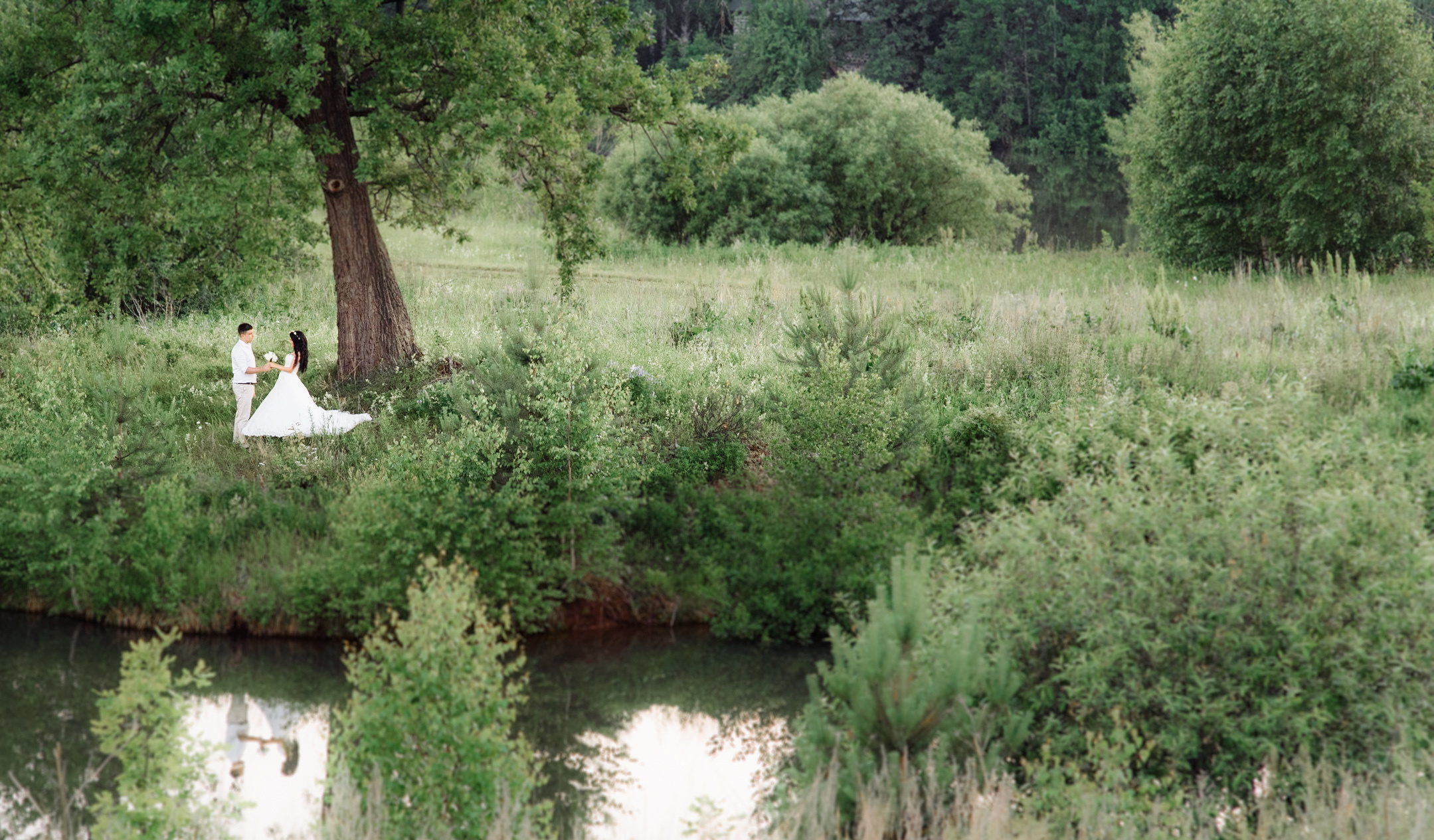 свадьба лукоморье