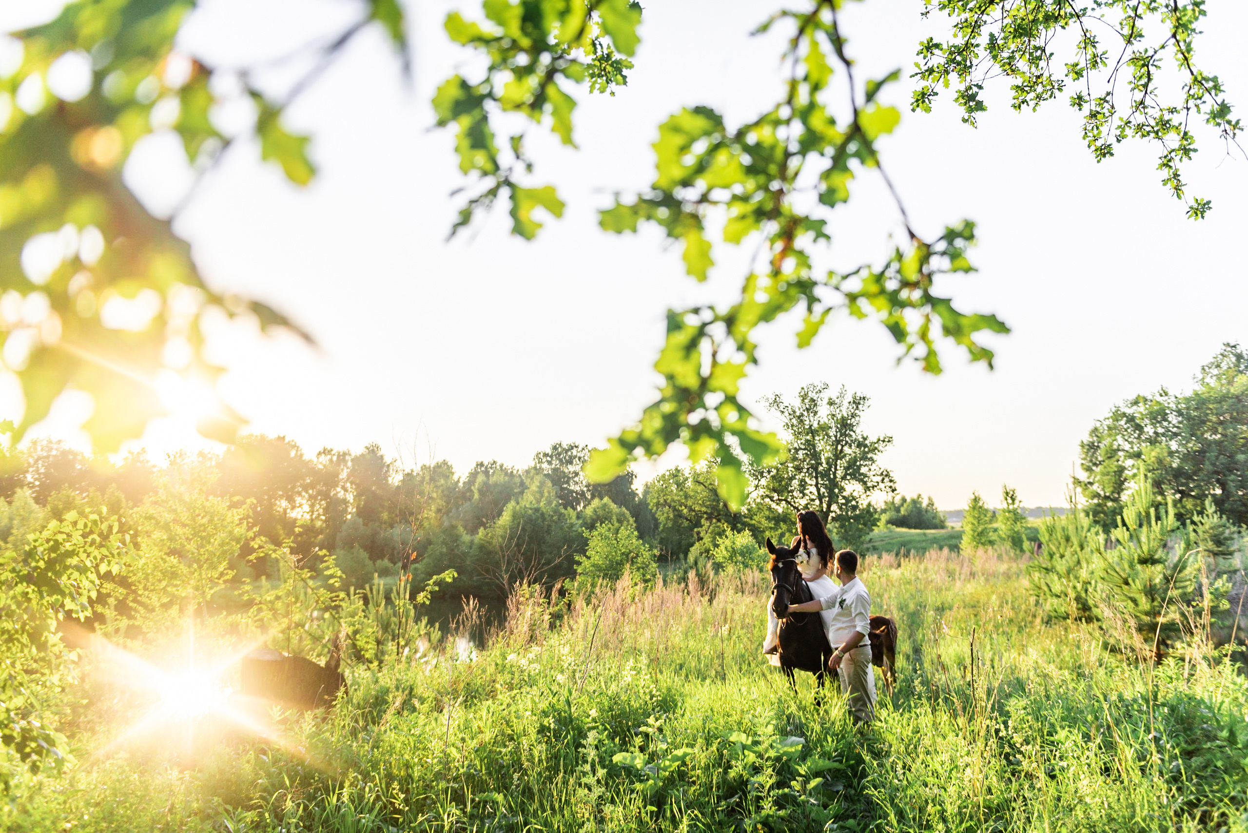 свадьба с лошадками