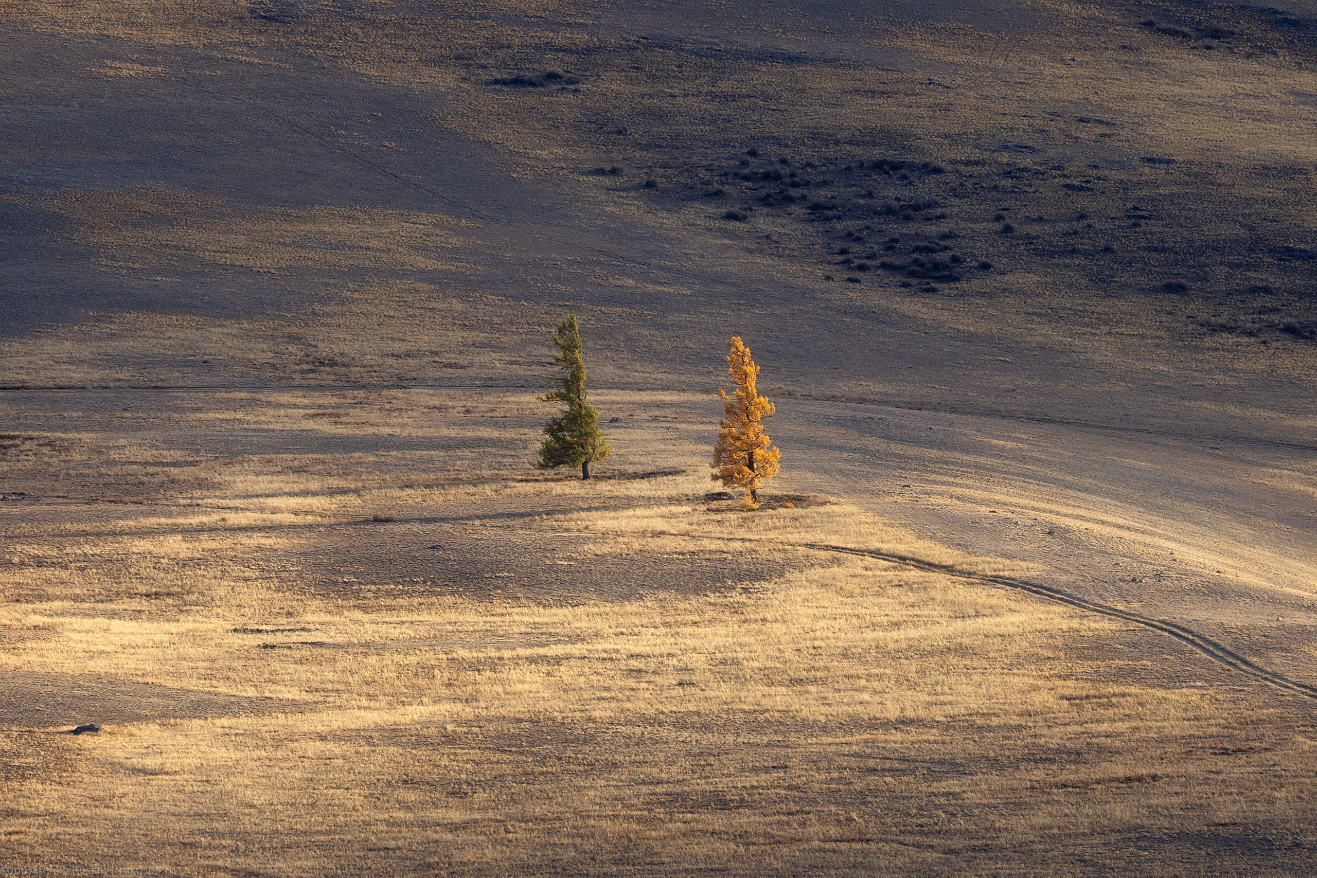 Горный Алтай. Архитектурный и пейзажный фотограф Кондратенко Руслан, Санкт-Петербург