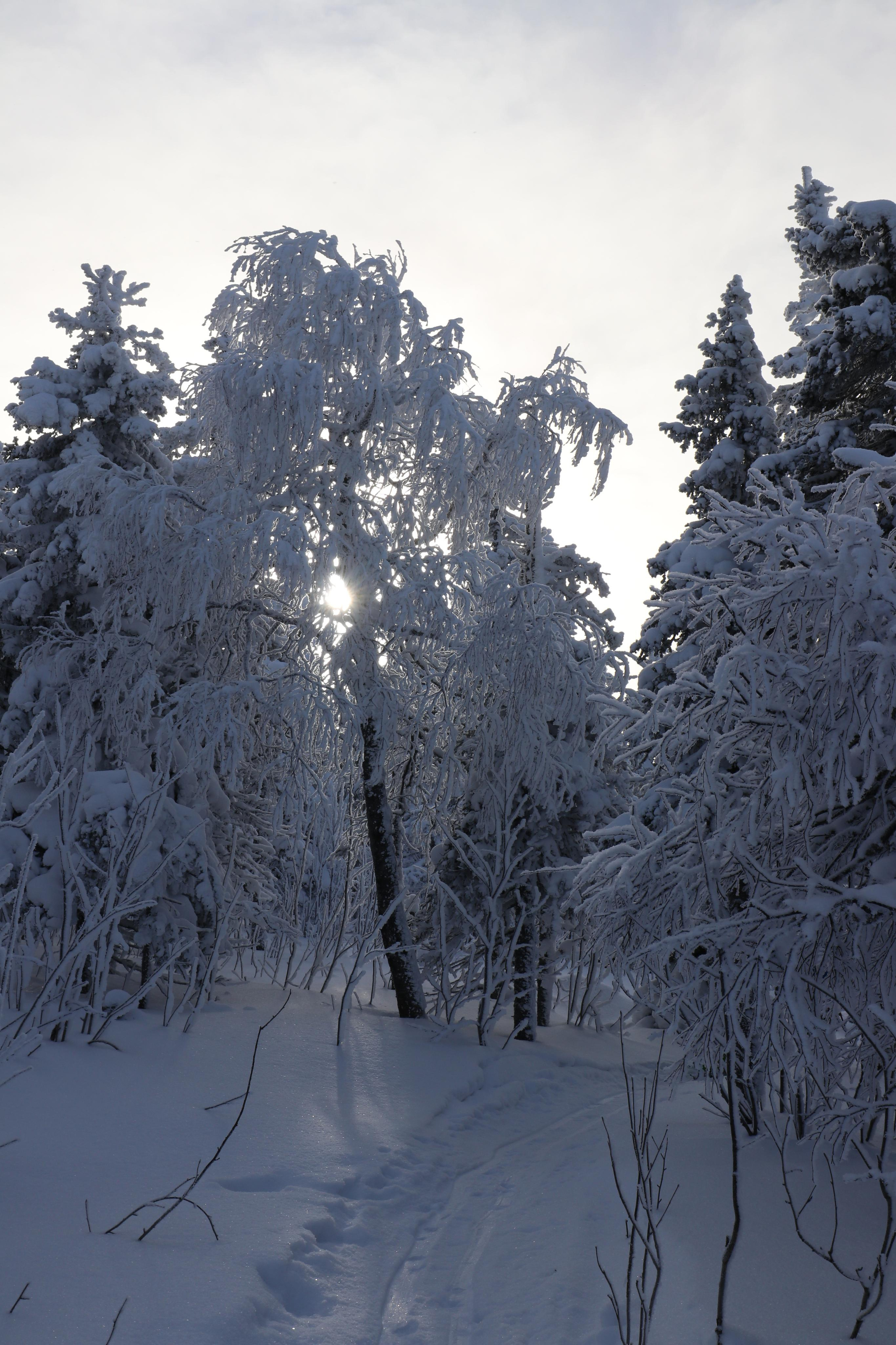 Хребет Большой Таганай. Путешественник-фотограф из Санкт-Петербурга Татьяна Свистулина