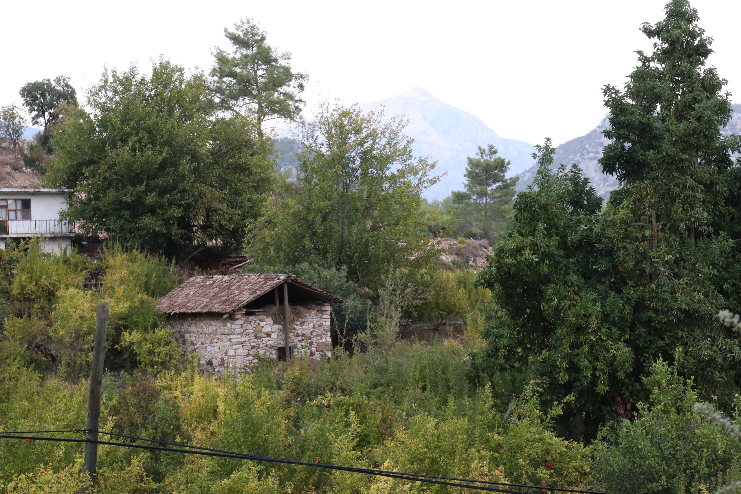 Турция. Чиралы. Ноябрь 2021. Путешественник-фотограф из Санкт-Петербурга Татьяна Свистулина