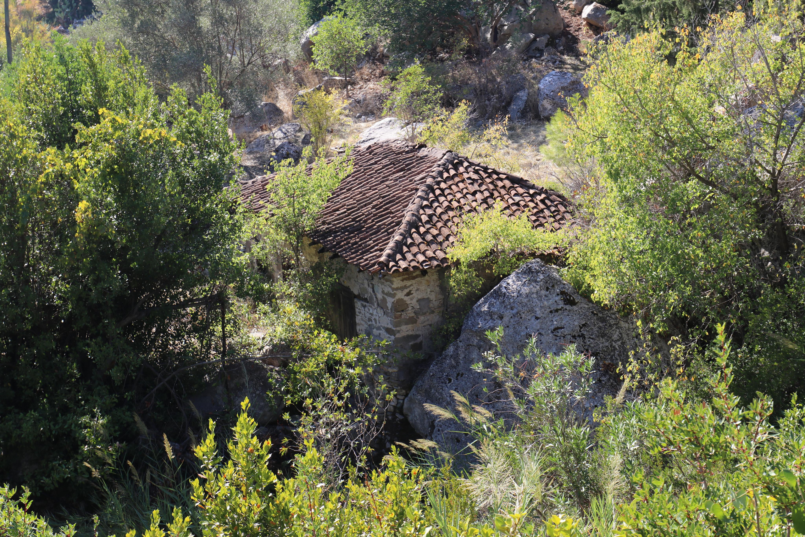 Турция. Чиралы. Ноябрь 2021. Путешественник-фотограф из Санкт-Петербурга Татьяна Свистулина