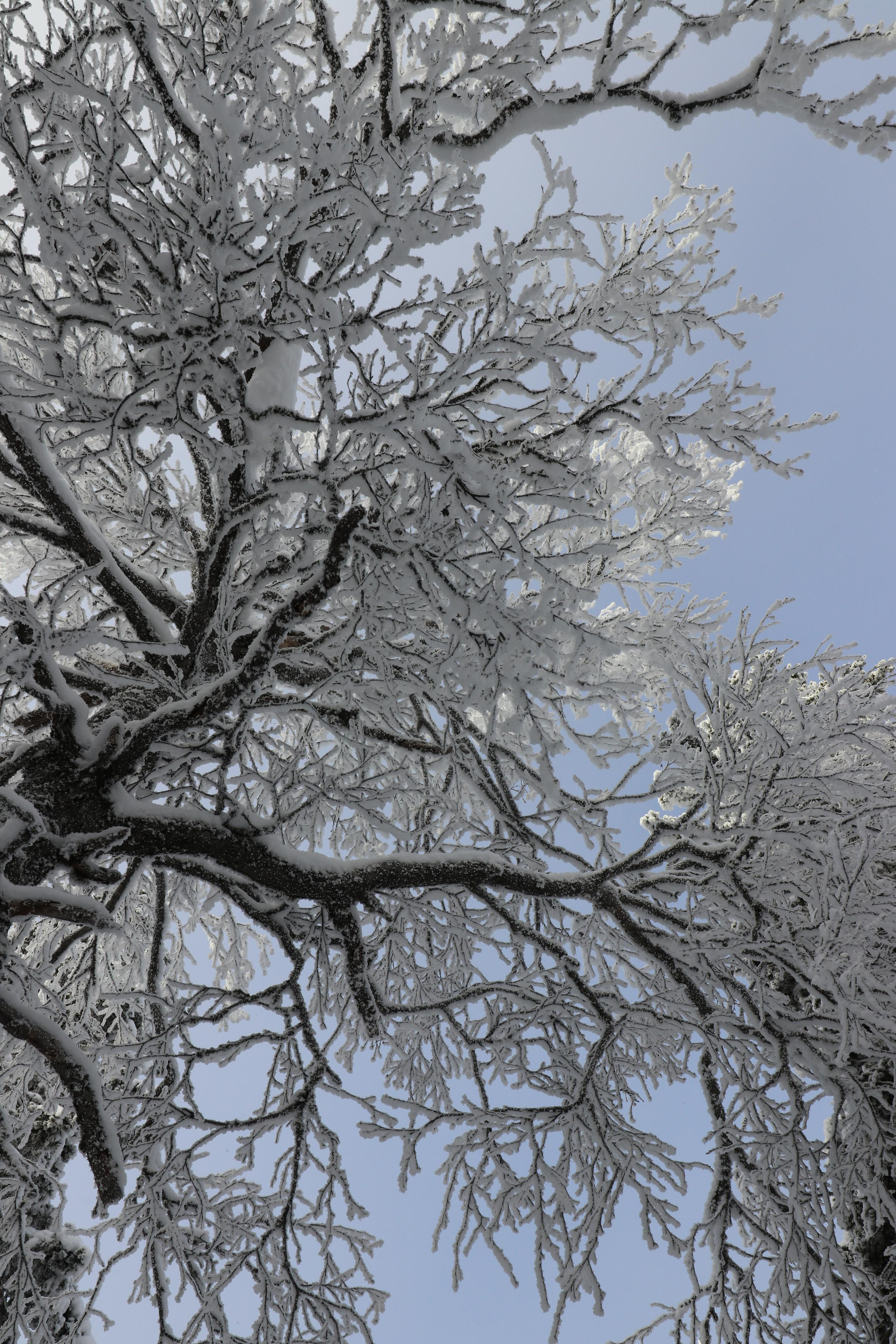 Хребет Большой Таганай. Путешественник-фотограф из Санкт-Петербурга Татьяна Свистулина