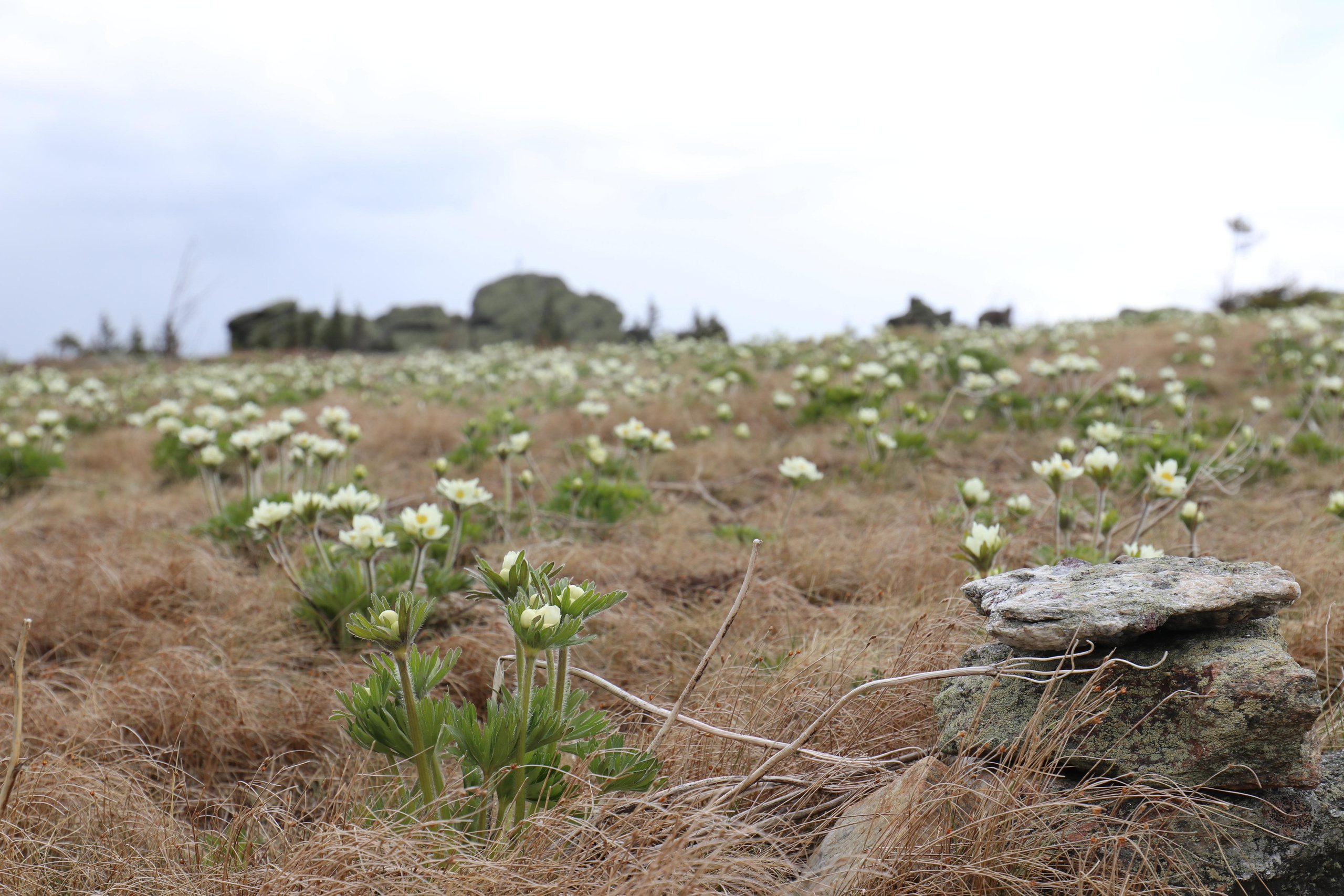 Хребет Большой Таганай. Путешественник-фотограф из Санкт-Петербурга Татьяна Свистулина