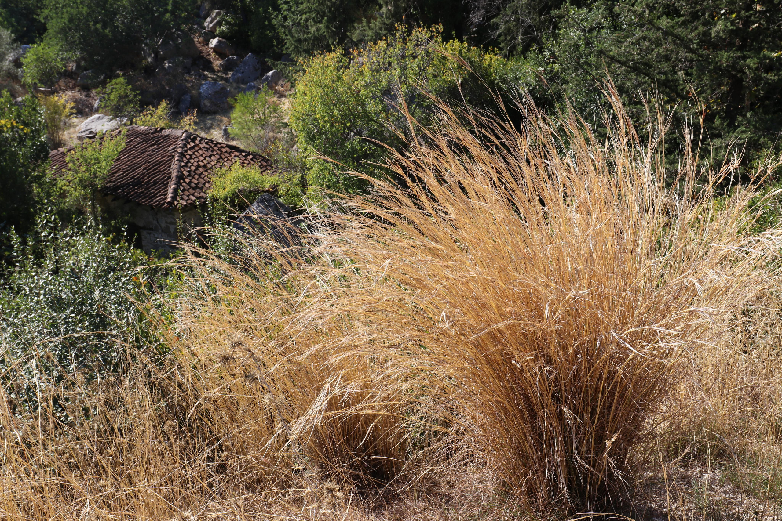 Турция. Чиралы. Ноябрь 2021. Путешественник-фотограф из Санкт-Петербурга Татьяна Свистулина