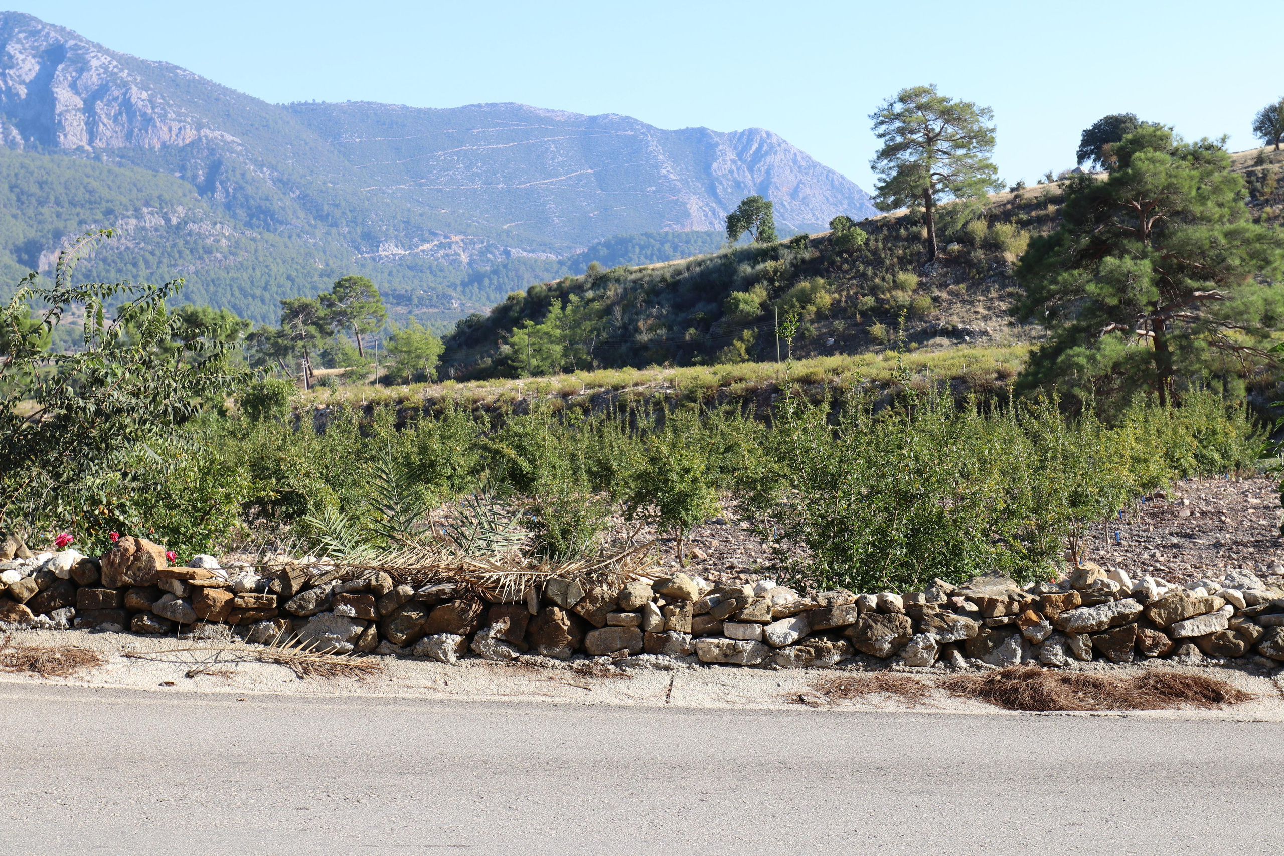 Турция. Чиралы. Ноябрь 2021. Путешественник-фотограф из Санкт-Петербурга Татьяна Свистулина