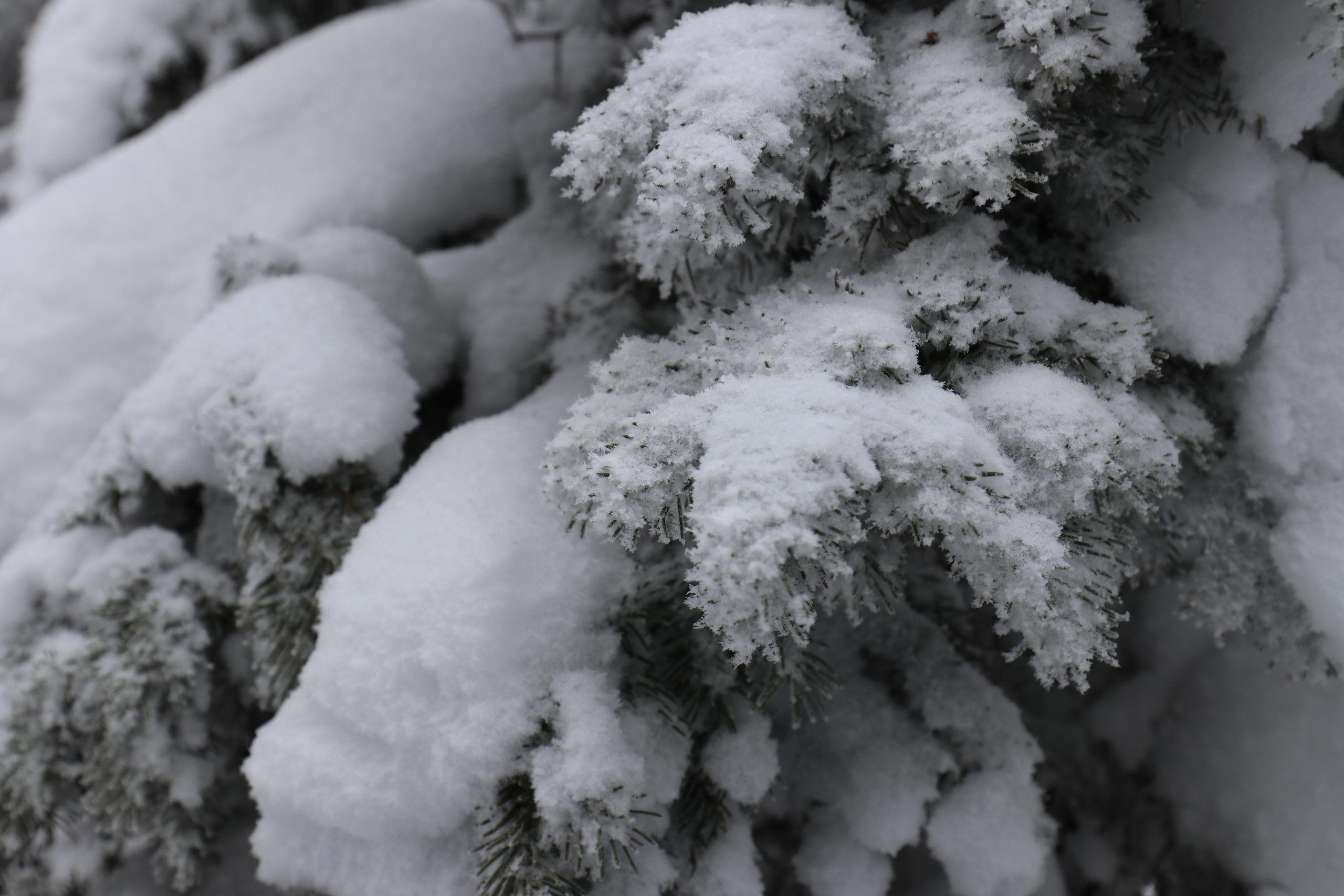 Хребет Большой Таганай. Путешественник-фотограф из Санкт-Петербурга Татьяна Свистулина