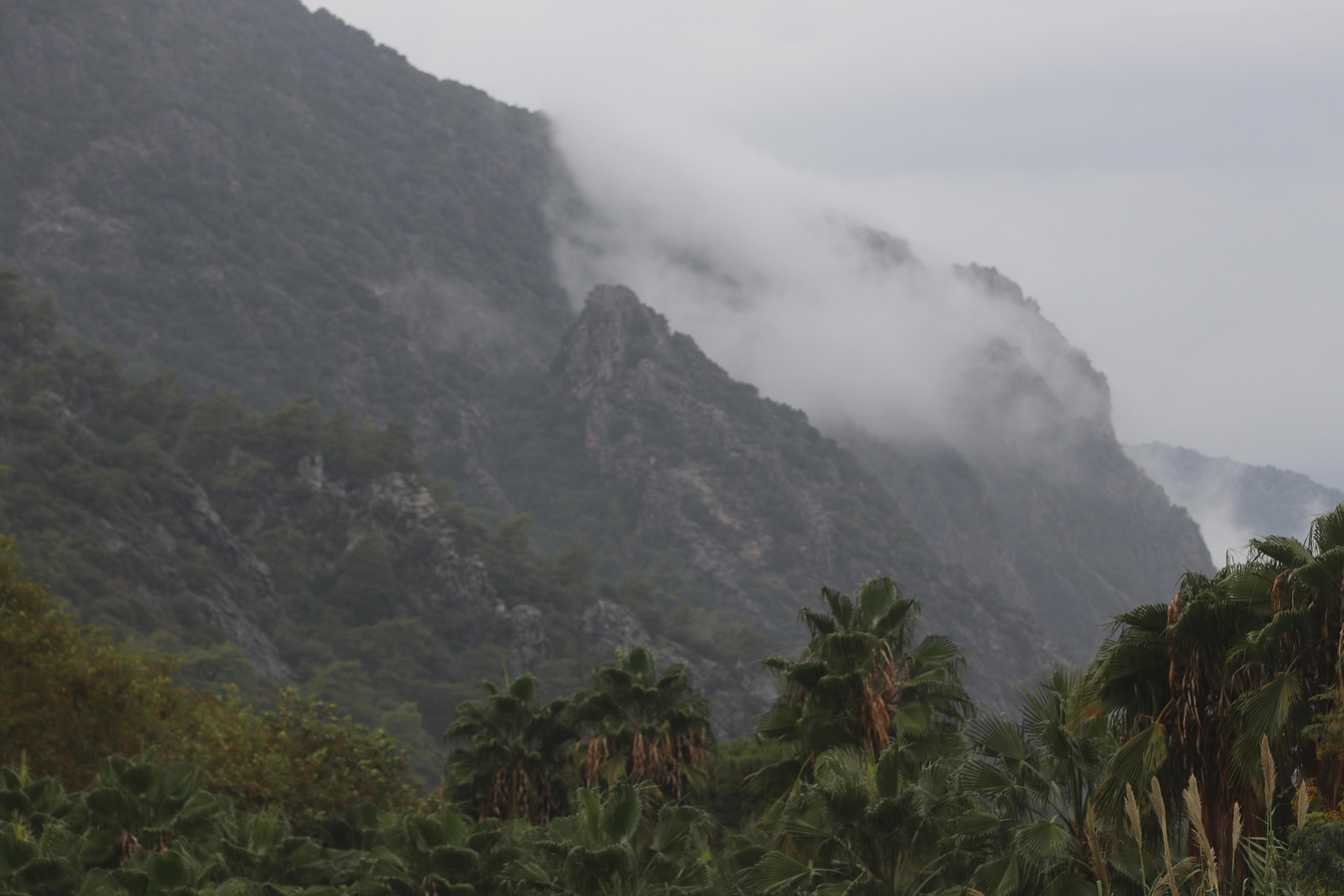 Турция. Чиралы. Ноябрь 2021. Путешественник-фотограф из Санкт-Петербурга Татьяна Свистулина