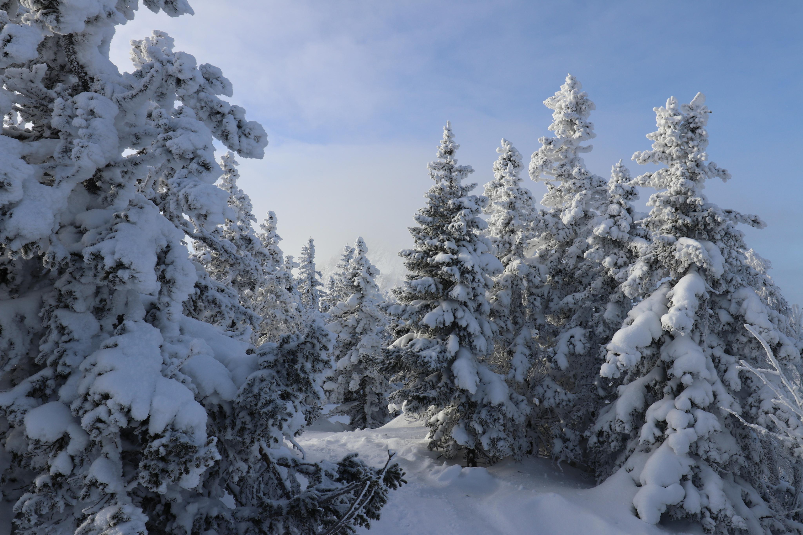 Хребет Большой Таганай. Путешественник-фотограф из Санкт-Петербурга Татьяна Свистулина