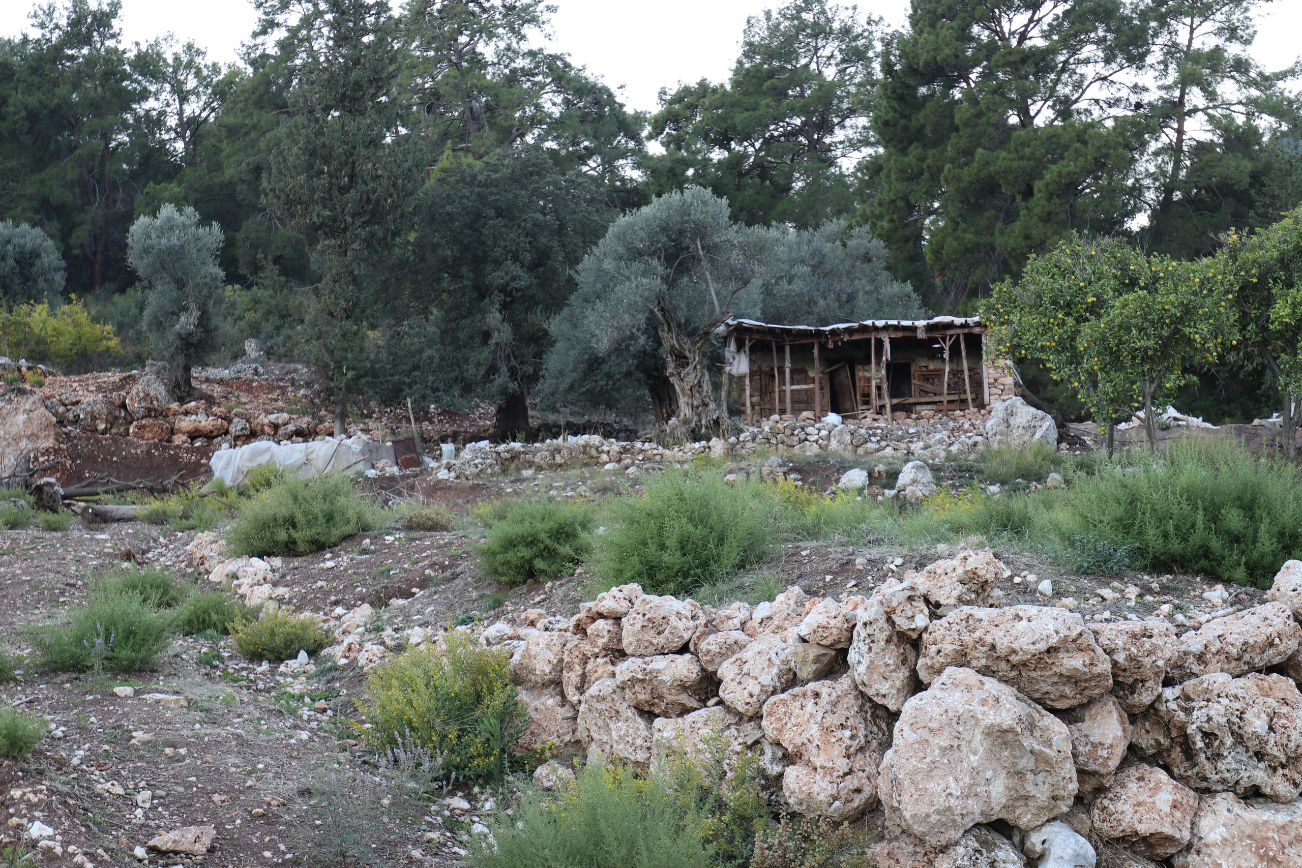 Турция. Чиралы. Ноябрь 2021. Путешественник-фотограф из Санкт-Петербурга Татьяна Свистулина