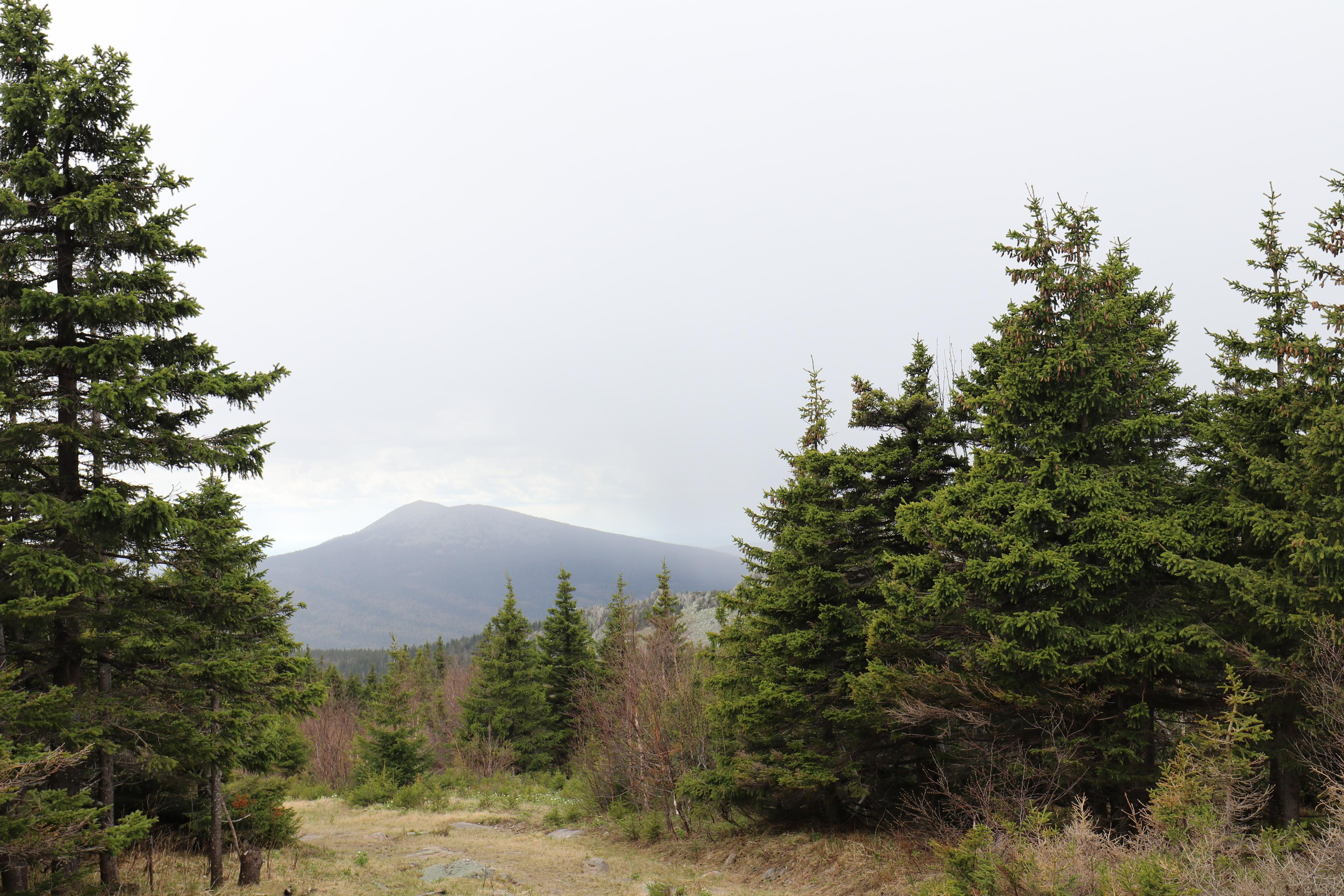 Хребет Большой Таганай. Путешественник-фотограф из Санкт-Петербурга Татьяна Свистулина
