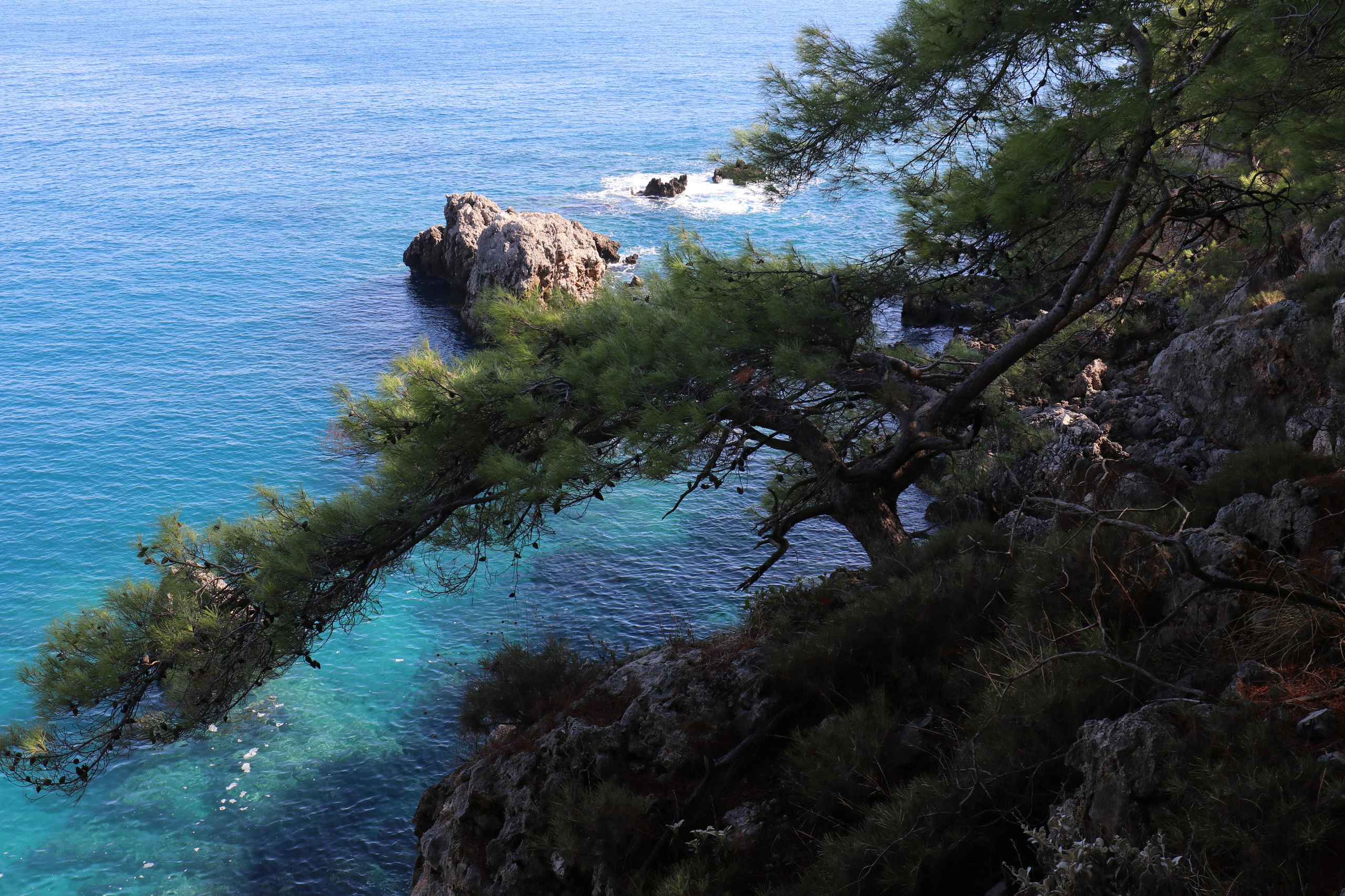Турция. Чиралы. Ноябрь 2021. Путешественник-фотограф из Санкт-Петербурга Татьяна Свистулина
