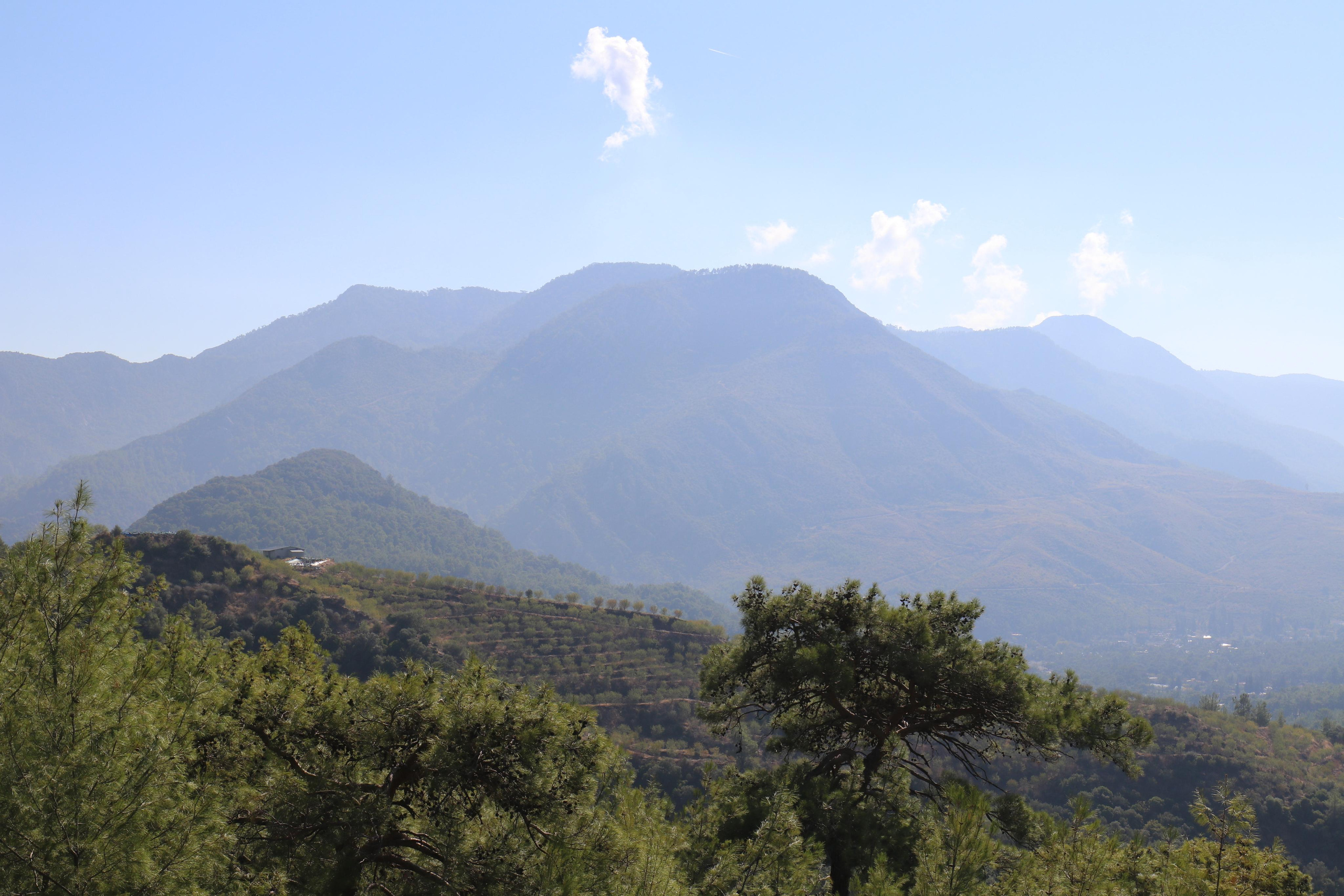 Турция. Чиралы. Ноябрь 2021. Путешественник-фотограф из Санкт-Петербурга Татьяна Свистулина