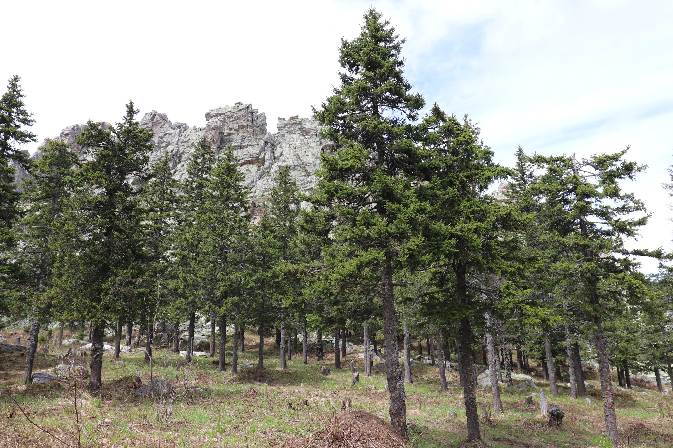 Хребет Большой Таганай. Путешественник-фотограф из Санкт-Петербурга Татьяна Свистулина
