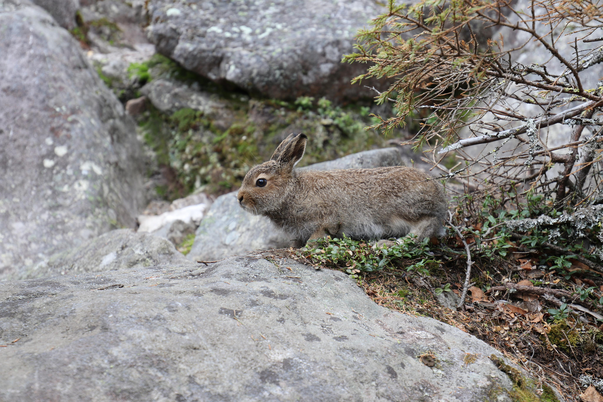 Хребет Большой Таганай. Путешественник-фотограф из Санкт-Петербурга Татьяна Свистулина