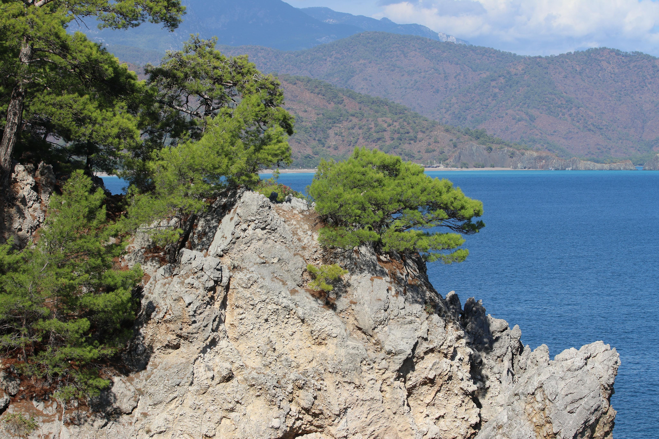 Турция. Чиралы. Ноябрь 2021. Путешественник-фотограф из Санкт-Петербурга Татьяна Свистулина
