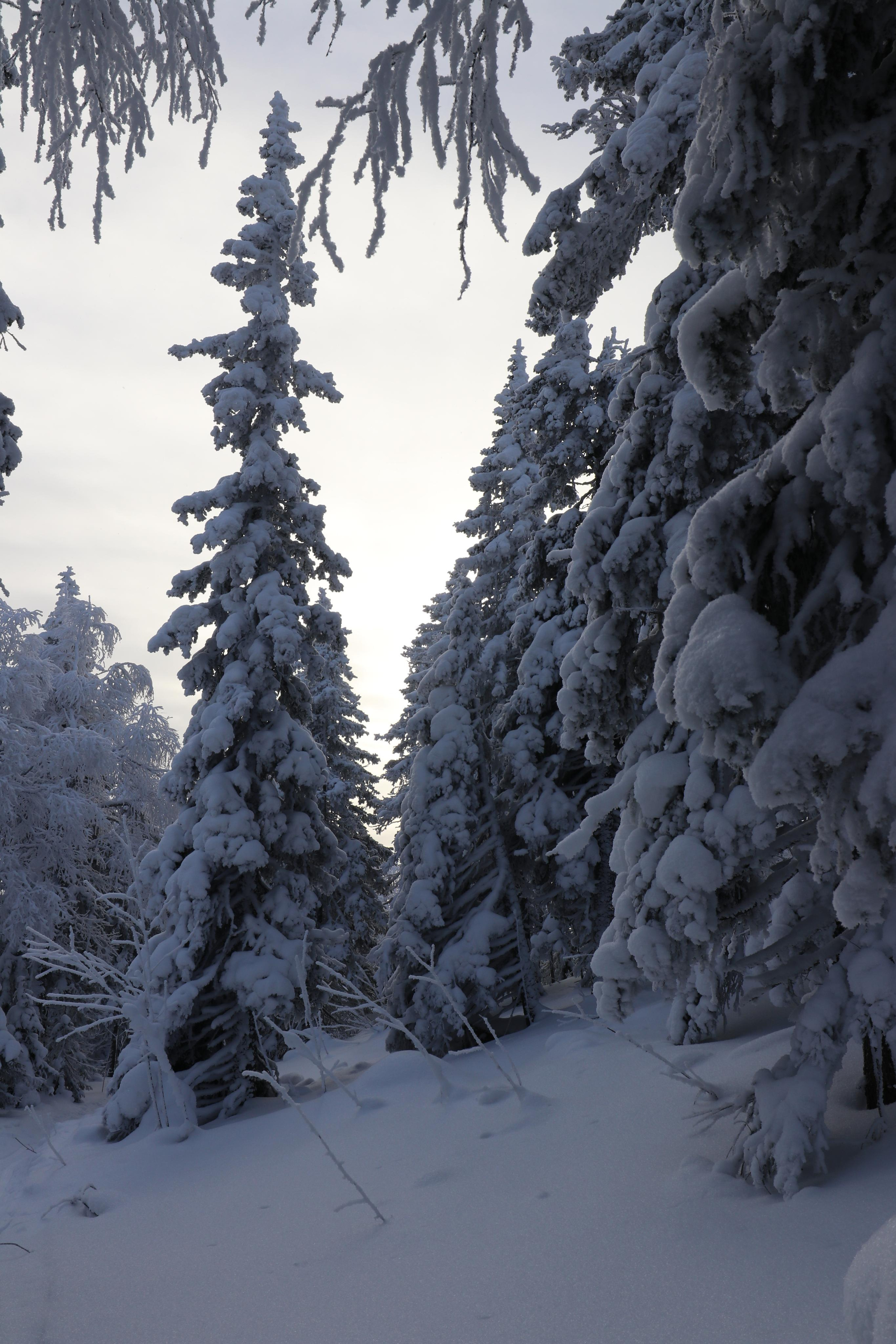 Хребет Большой Таганай. Путешественник-фотограф из Санкт-Петербурга Татьяна Свистулина
