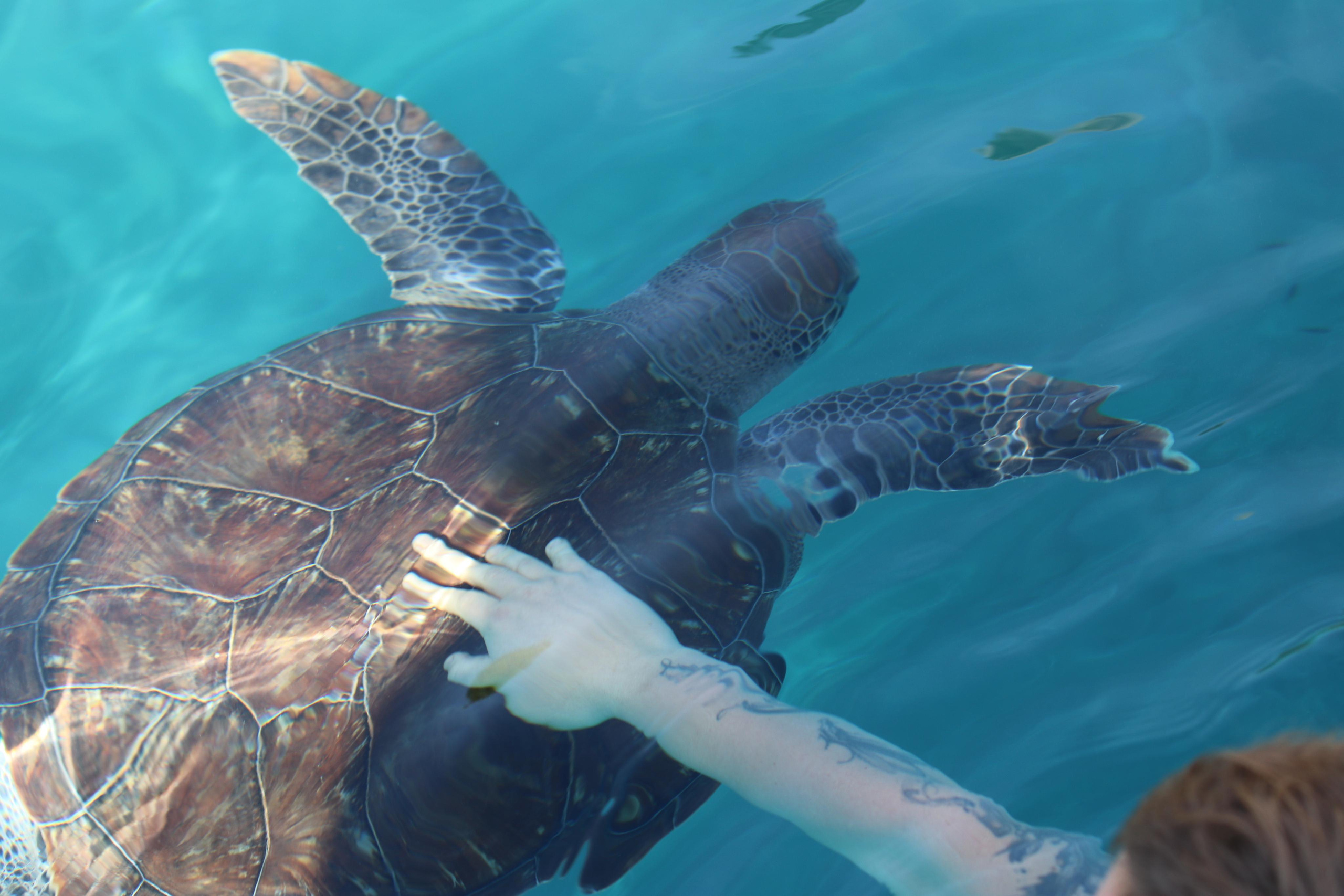 Турция. Чиралы. Ноябрь 2021. Путешественник-фотограф из Санкт-Петербурга Татьяна Свистулина