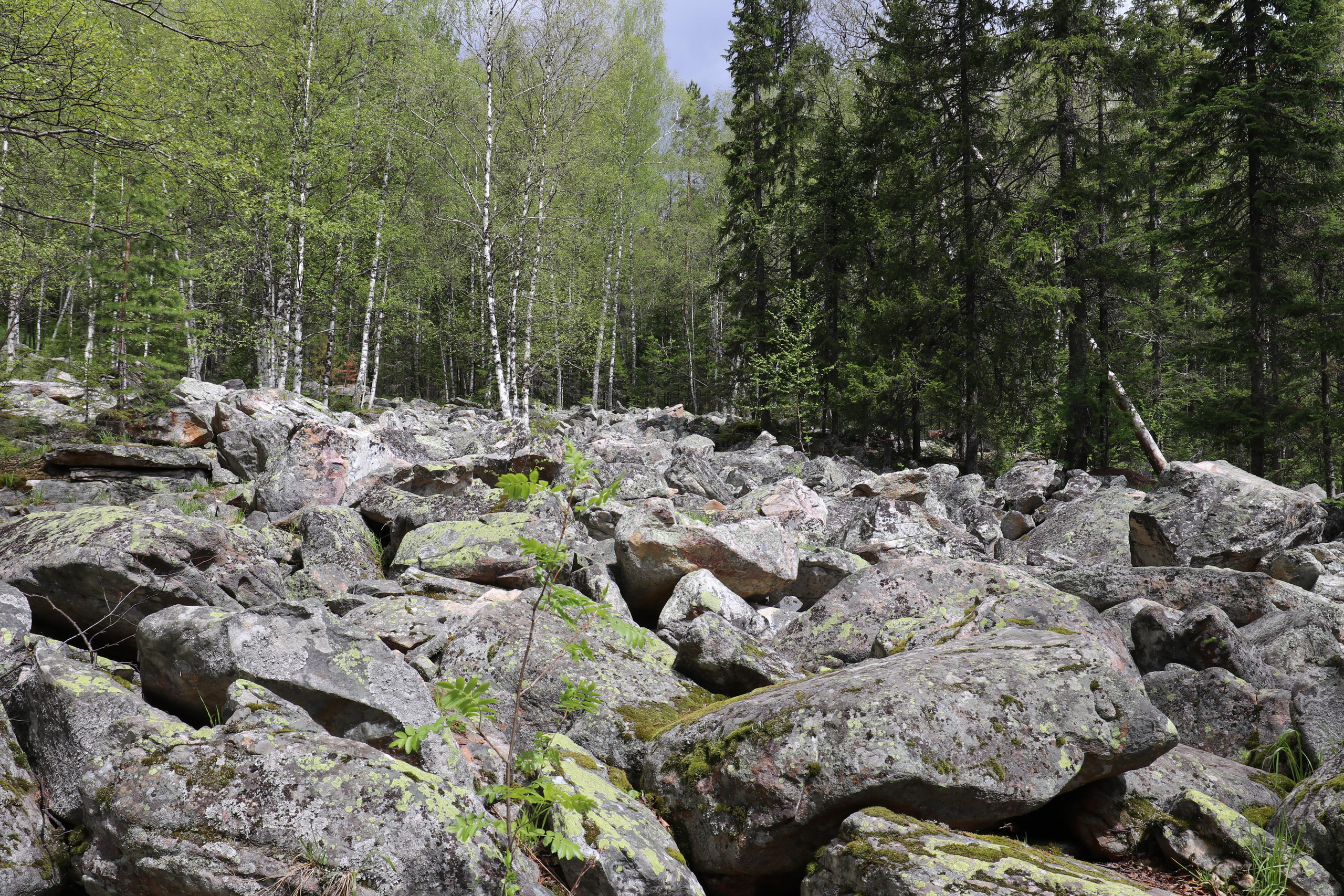 Хребет Большой Таганай. Путешественник-фотограф из Санкт-Петербурга Татьяна Свистулина