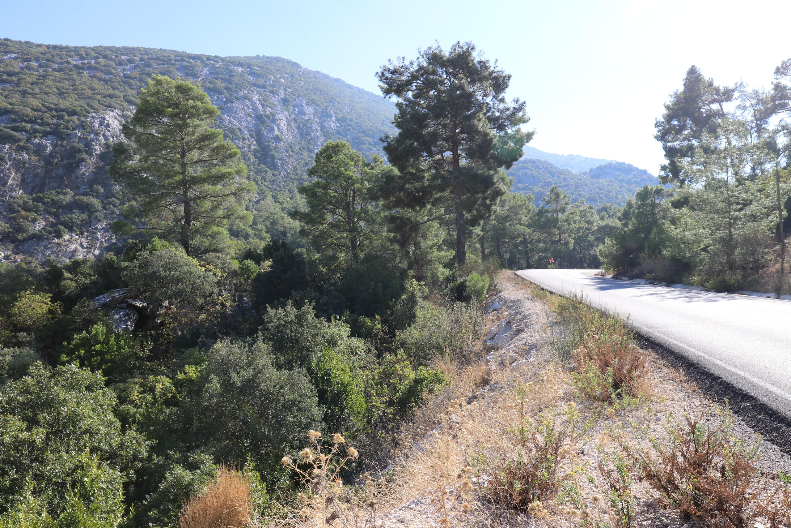 Турция. Чиралы. Ноябрь 2021. Путешественник-фотограф из Санкт-Петербурга Татьяна Свистулина