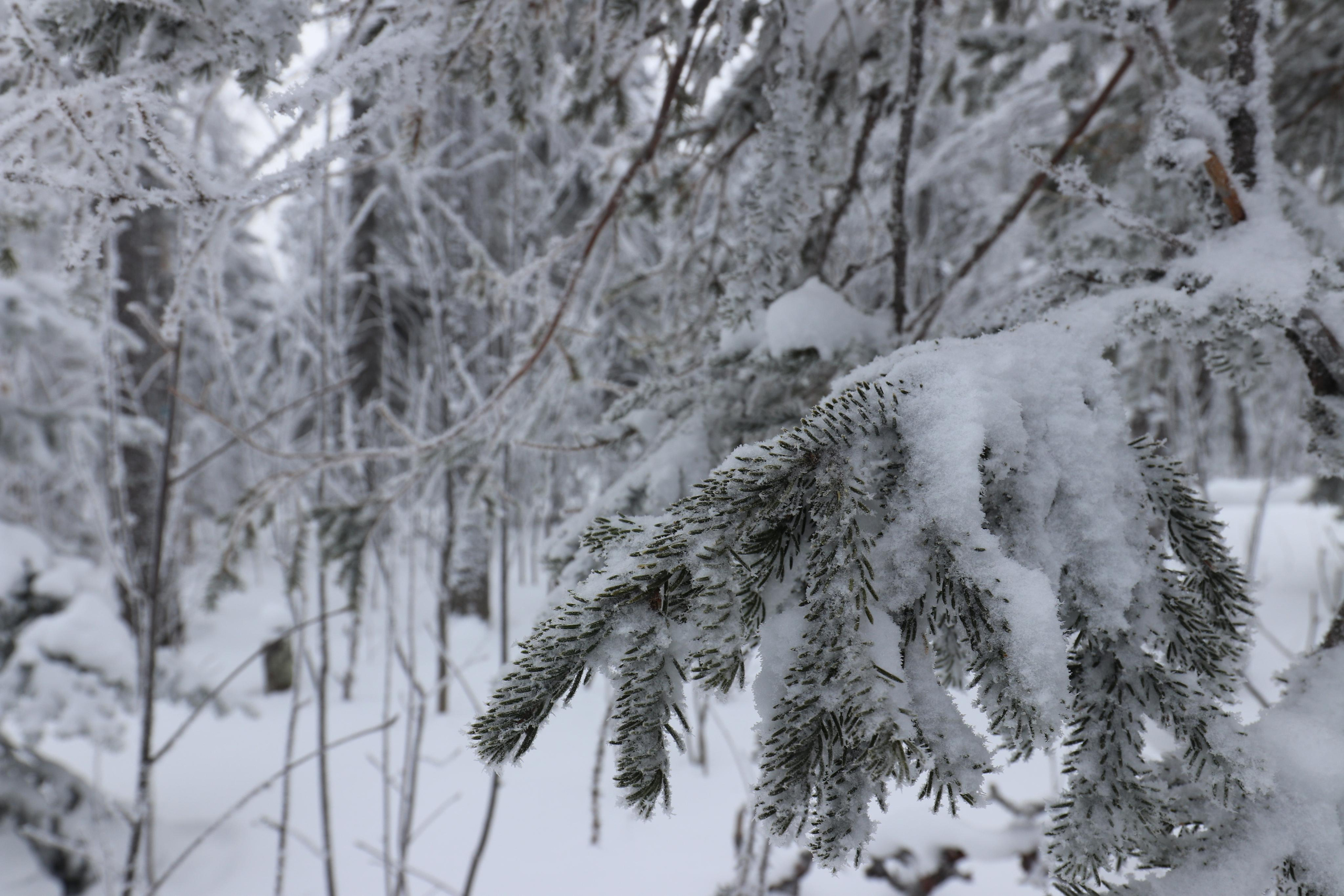 Хребет Большой Таганай. Путешественник-фотограф из Санкт-Петербурга Татьяна Свистулина